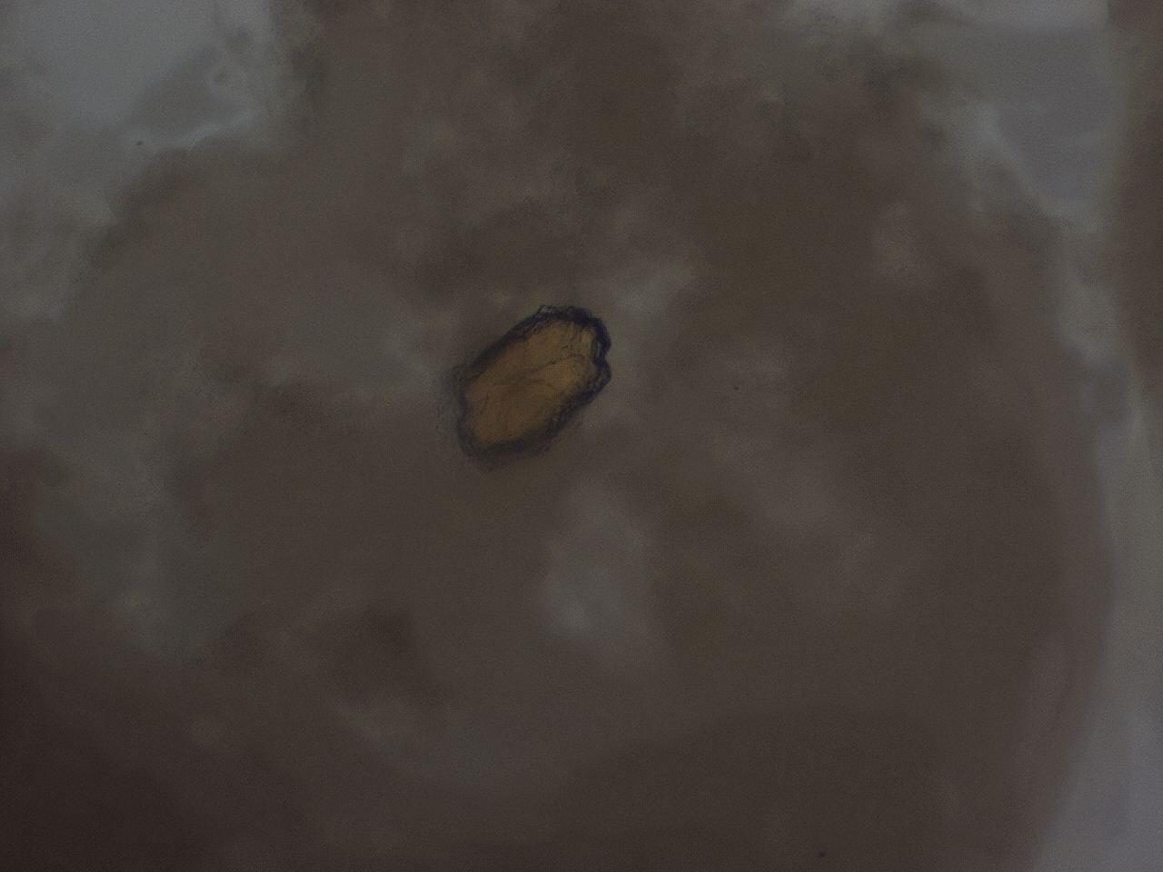 0454_D12_ImagerDefaults_9.jpg