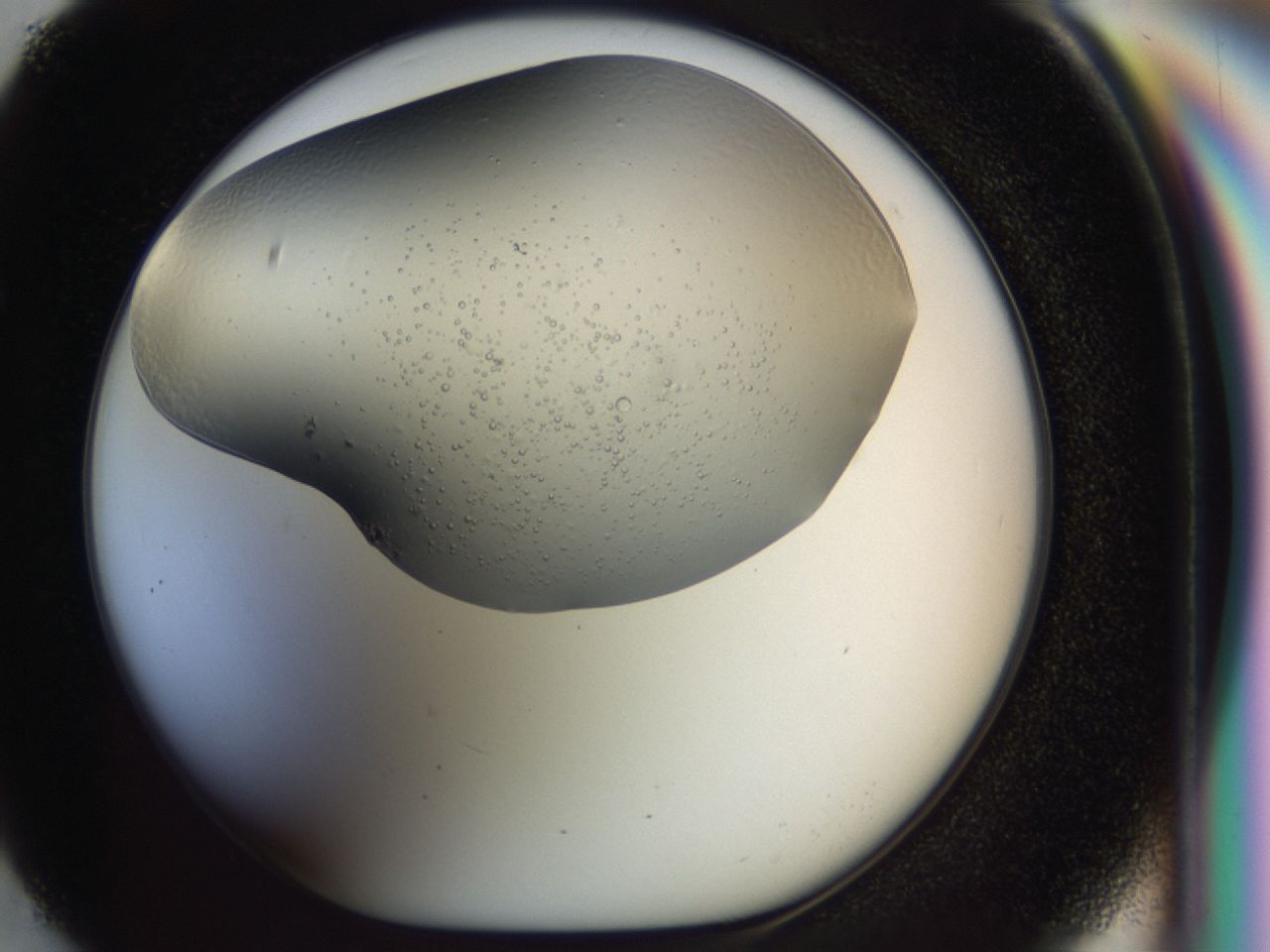 0455_F5_ImagerDefaults_7.jpg