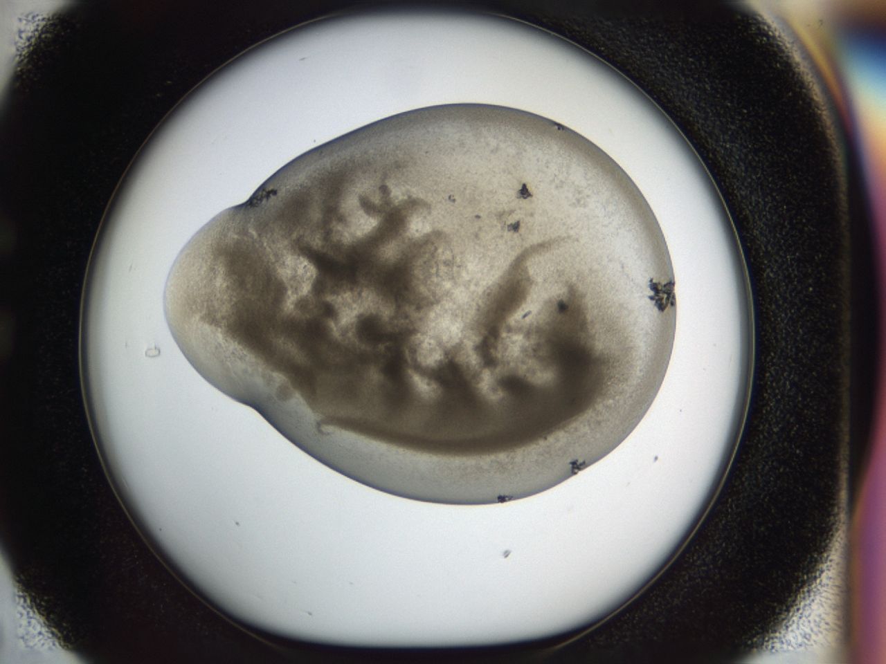 0455_C5_ImagerDefaults_7.jpg