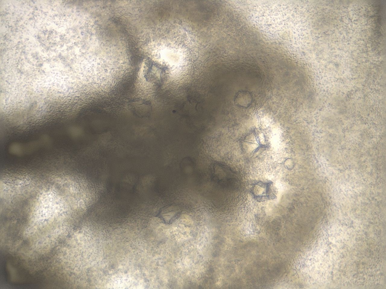 0457_A4_ImagerDefaults_7.jpg