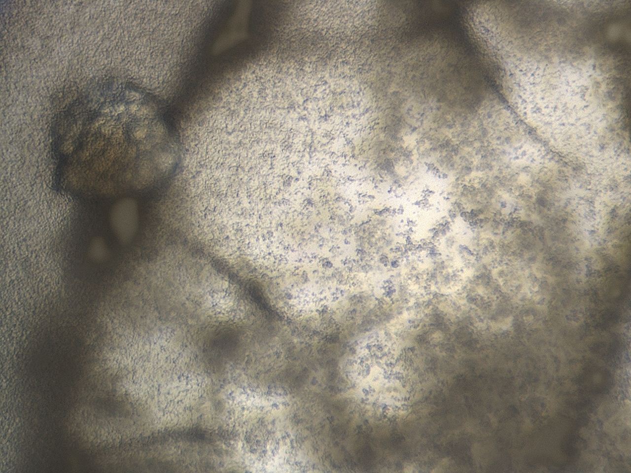 0457_A10_ImagerDefaults_7.jpg