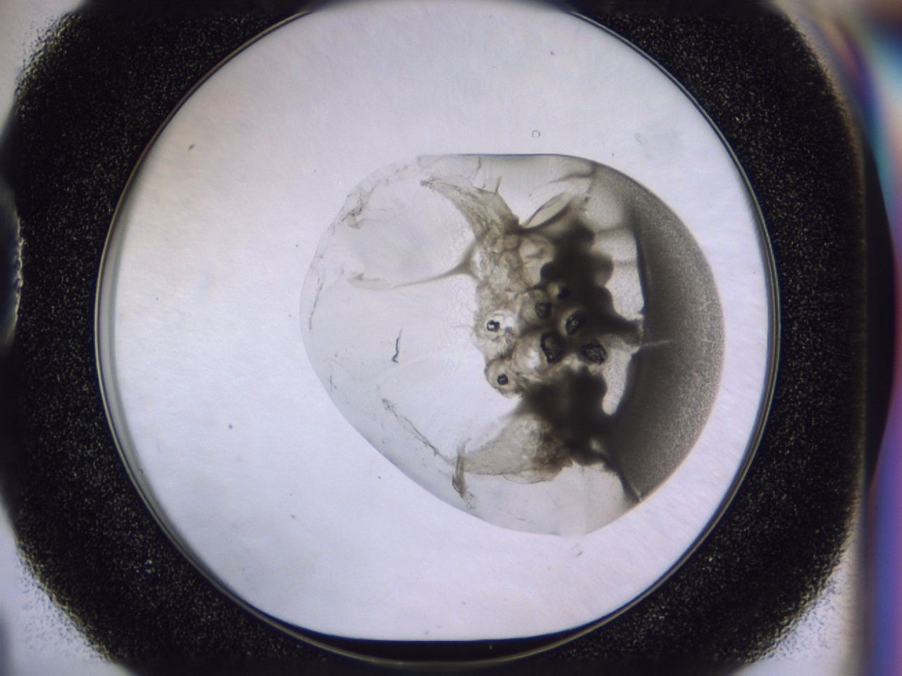 0458_D4_ImagerDefaults_9.jpg