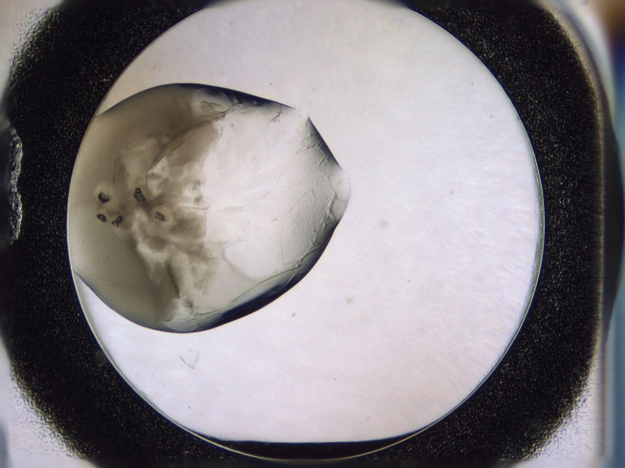 0458_B4_ImagerDefaults_9.jpg