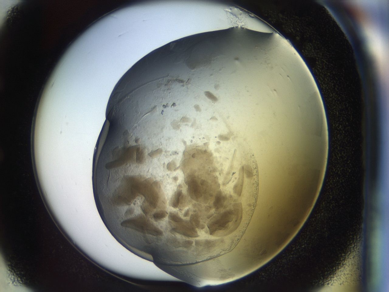0459_E3_ImagerDefaults_7.jpg