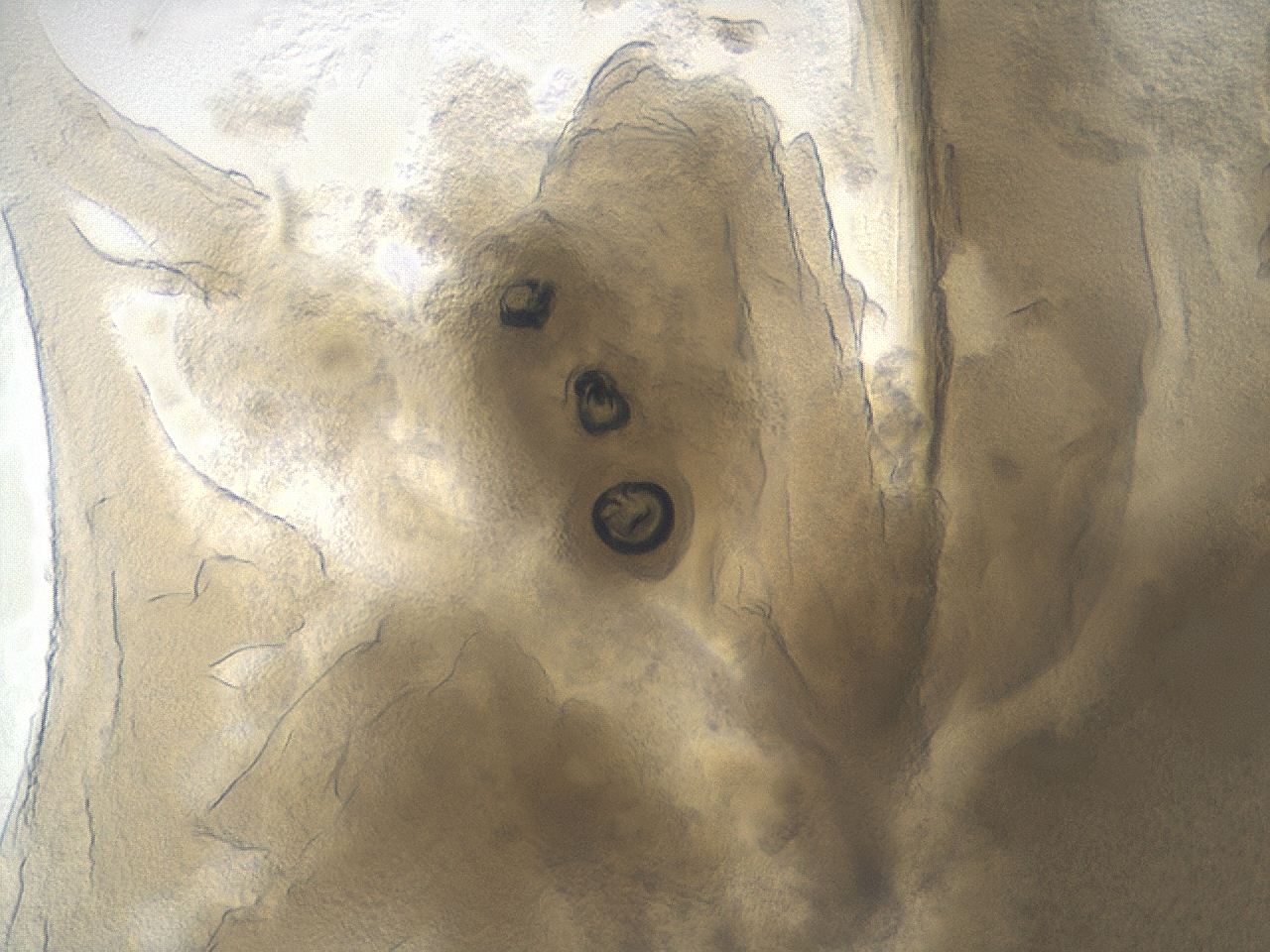 0459_B4_ImagerDefaults_9.jpg