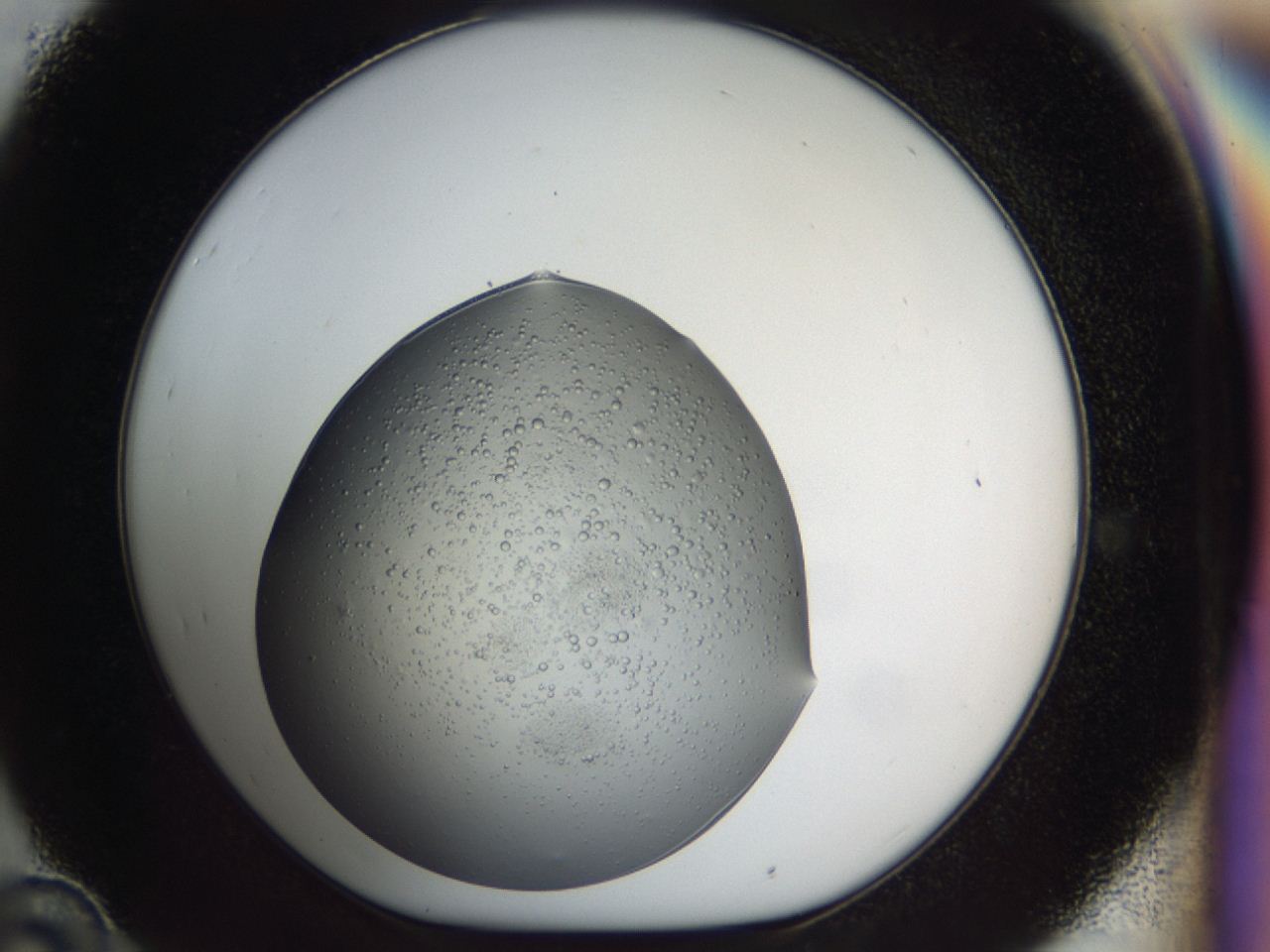 0459_D10_ImagerDefaults_7.jpg