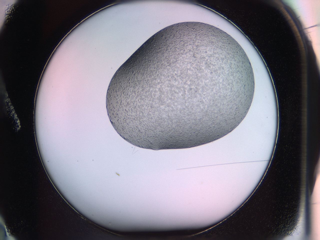 045s_A2_ImagerDefaults_6.jpg