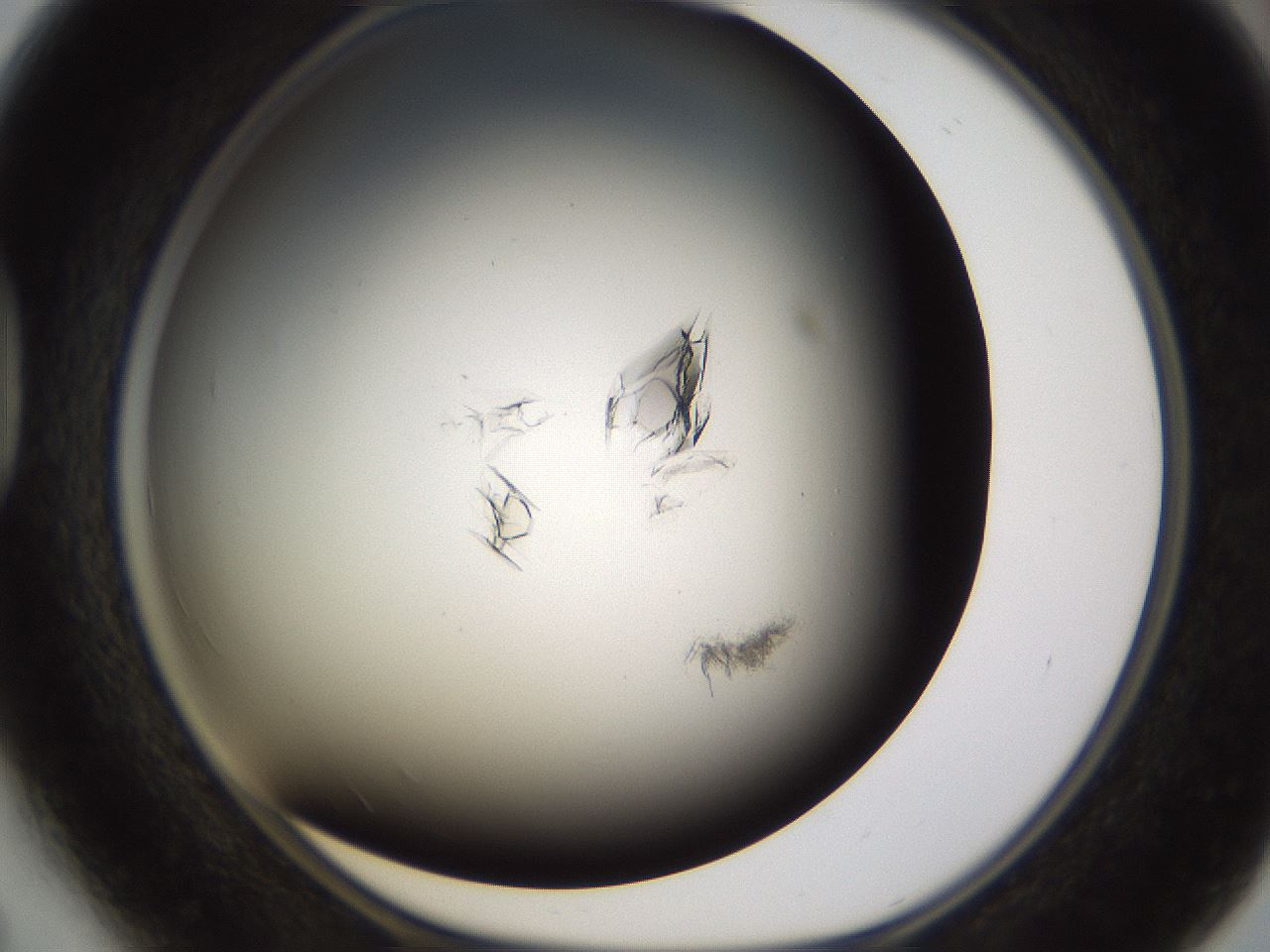 folderID755_plateID1755_batchID7495_wellNum41_profileID1_d1_r117382_ef.jpg