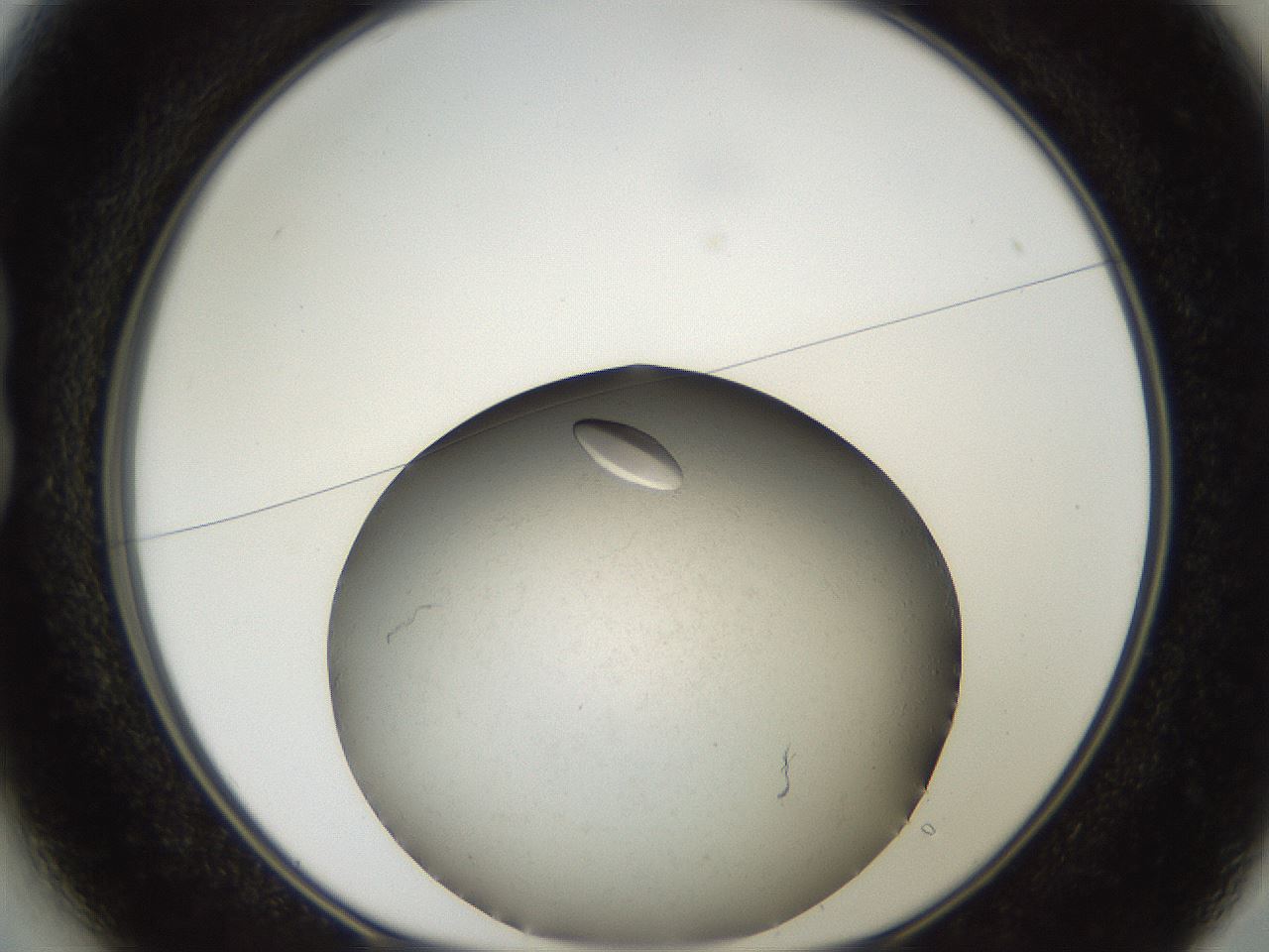 folderID735_plateID1735_batchID7276_wellNum13_profileID1_d1_r115599_ef.jpg