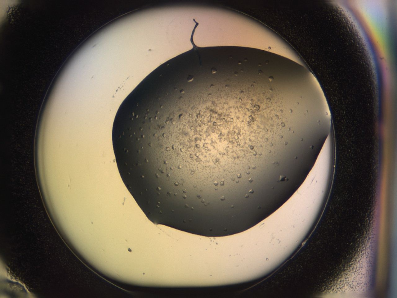 045t_E10_ImagerDefaults_6.jpg