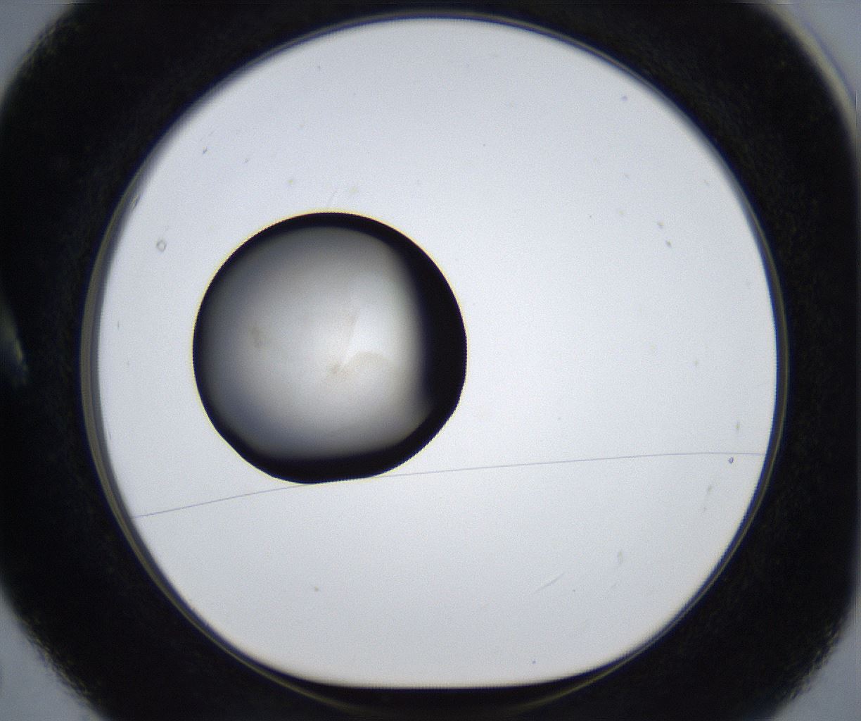 folderID631_plateID2631_batchID13261_wellNum5_profileID1_d1_r208818_ef.jpg