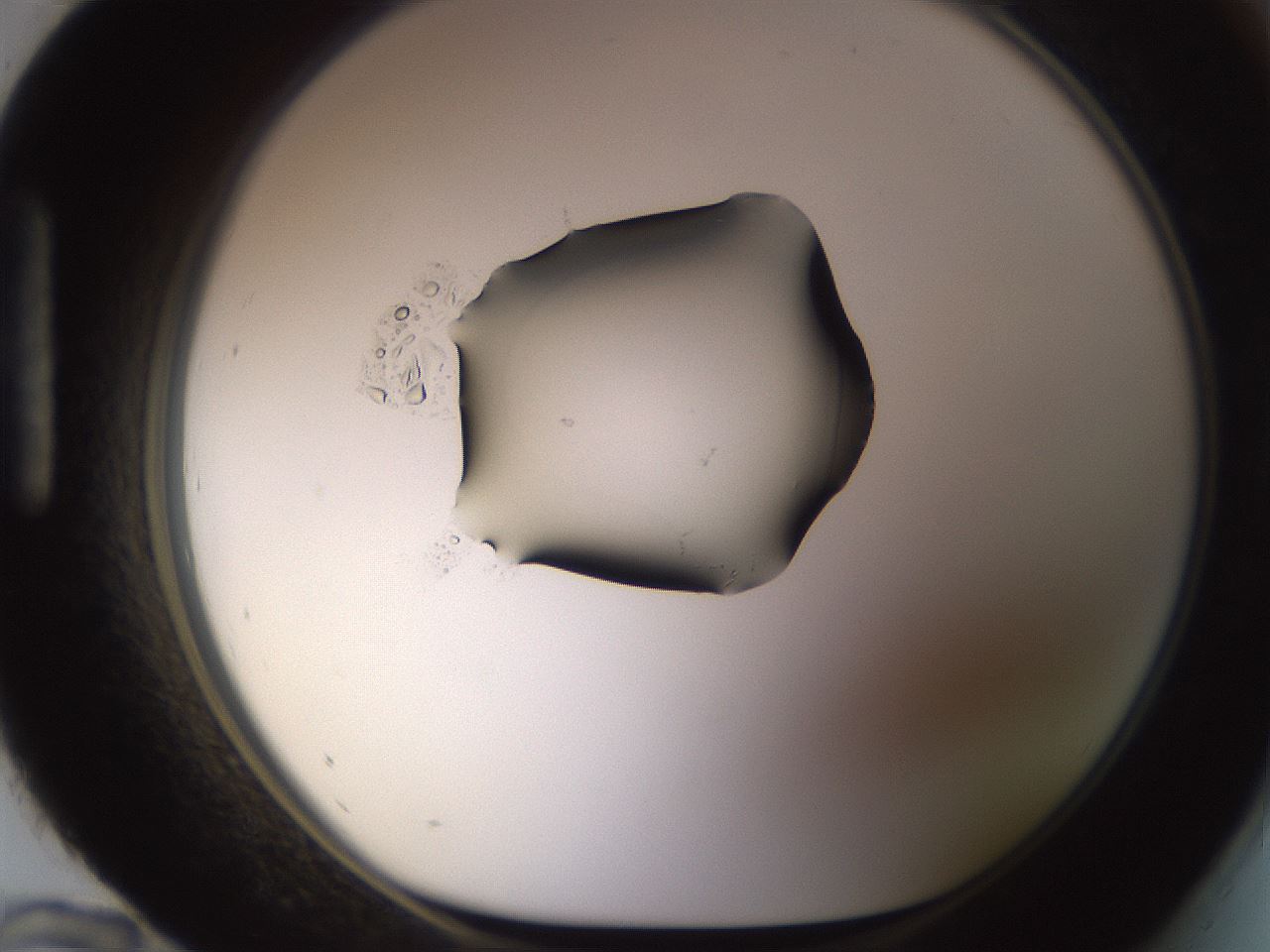 folderID633_plateID1633_batchID6839_wellNum96_profileID1_d1_r110002_ef.jpg