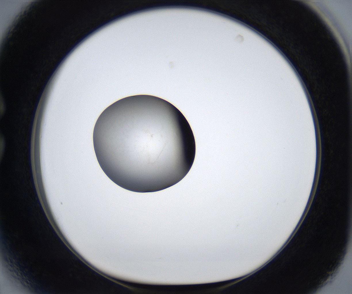 folderID633_plateID2633_batchID13264_wellNum27_profileID1_d1_r209054_ef.jpg
