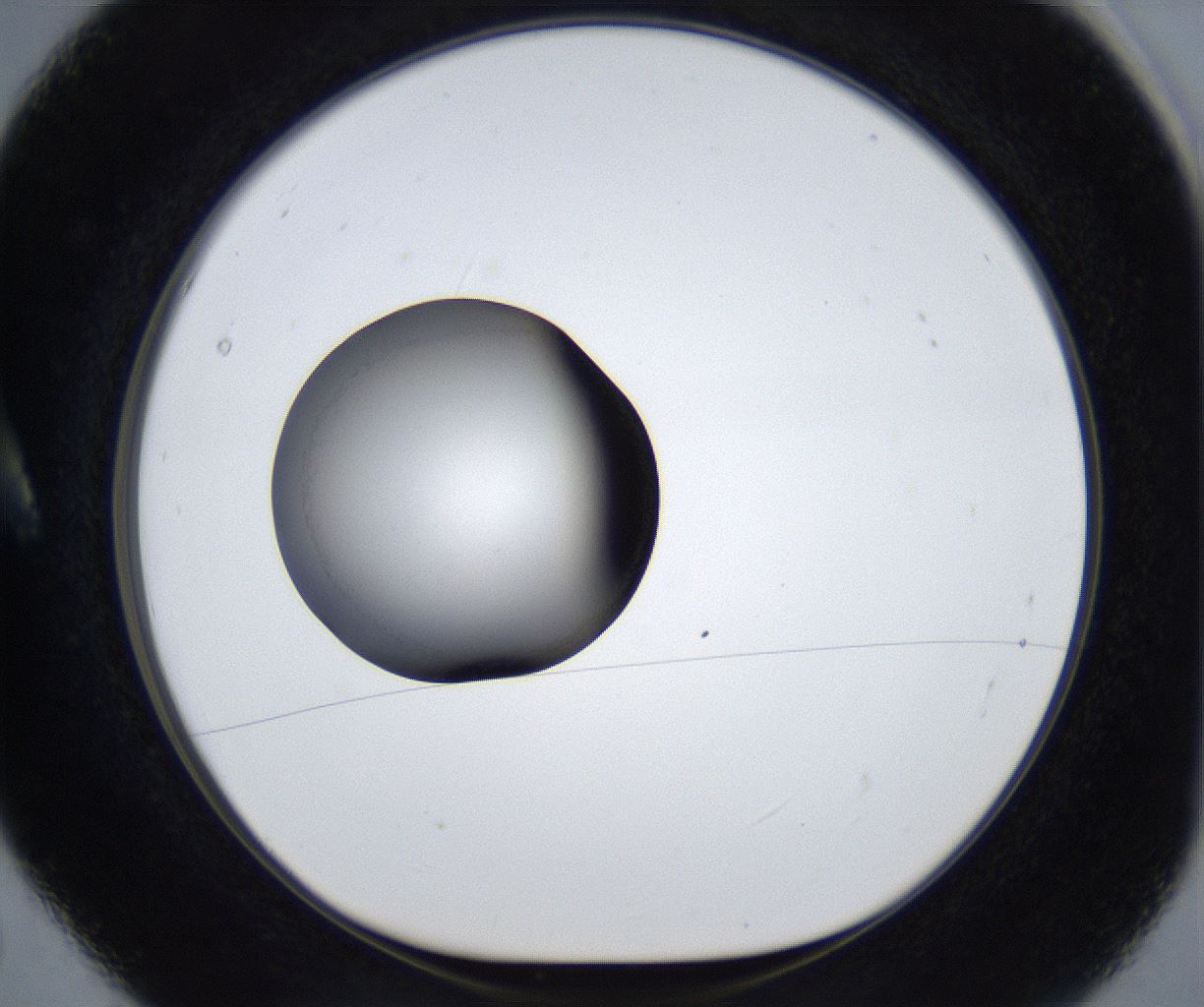 folderID633_plateID2633_batchID13264_wellNum5_profileID1_d1_r209010_ef.jpg