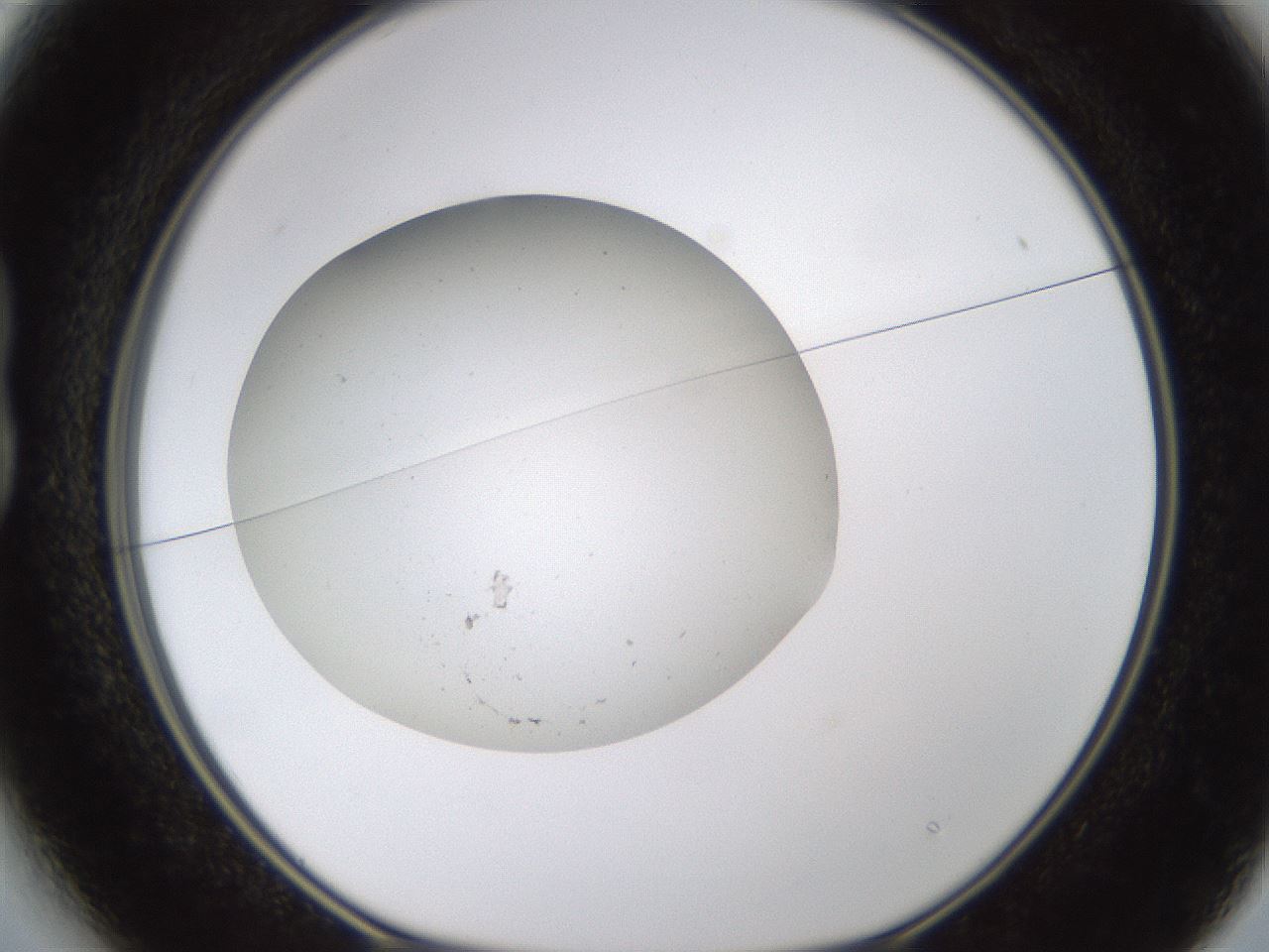 folderID635_plateID1635_batchID6835_wellNum13_profileID1_d1_r109451_ef.jpg