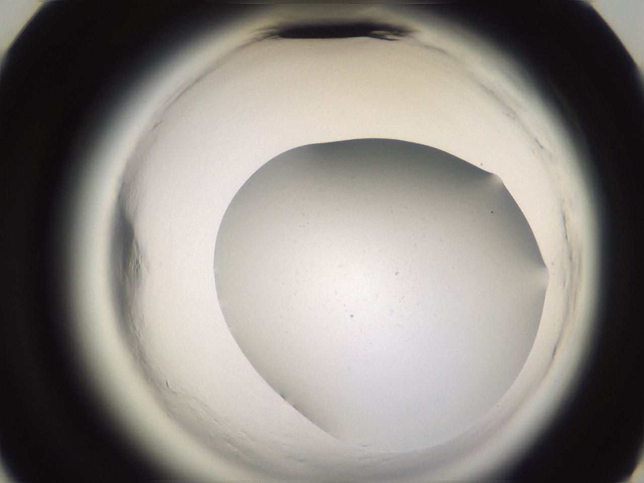 folderID637_plateID2637_batchID13389_wellNum44_profileID1_d3_r214034_ef.jpg