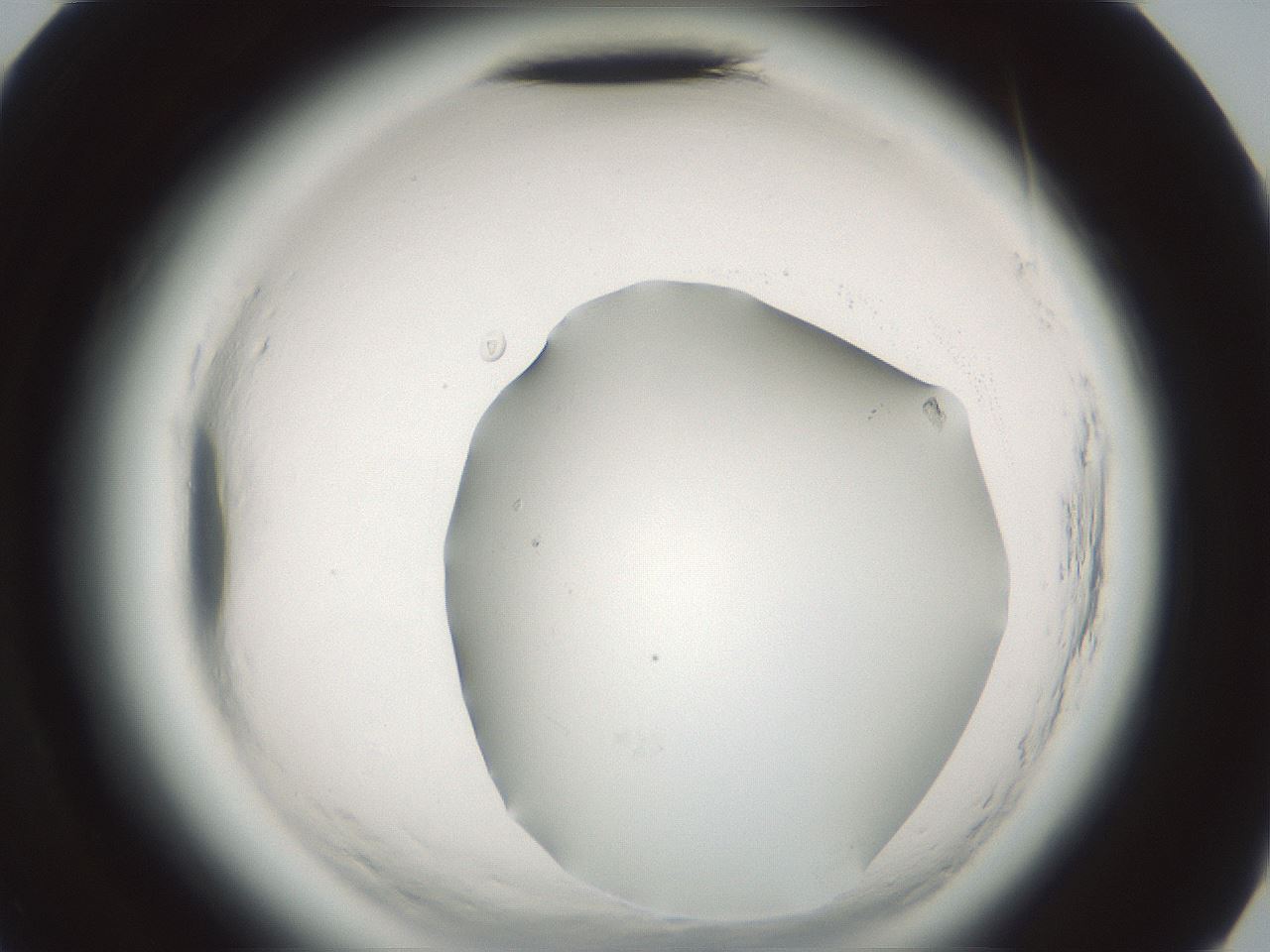folderID639_plateID2639_batchID13383_wellNum58_profileID1_d3_r212636_ef.jpg
