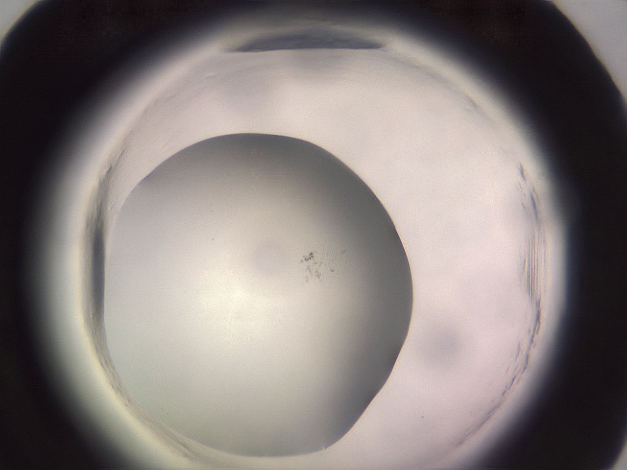 folderID640_plateID2640_batchID13391_wellNum58_profileID1_d1_r214650_ef.jpg