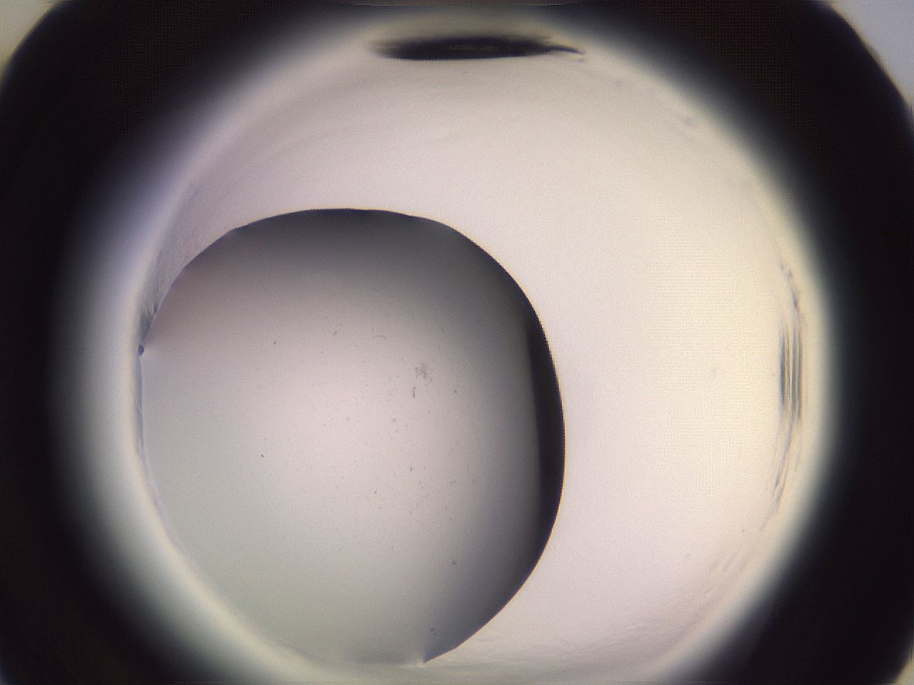 folderID640_plateID2640_batchID13518_wellNum34_profileID1_d3_r214580_ef.jpg