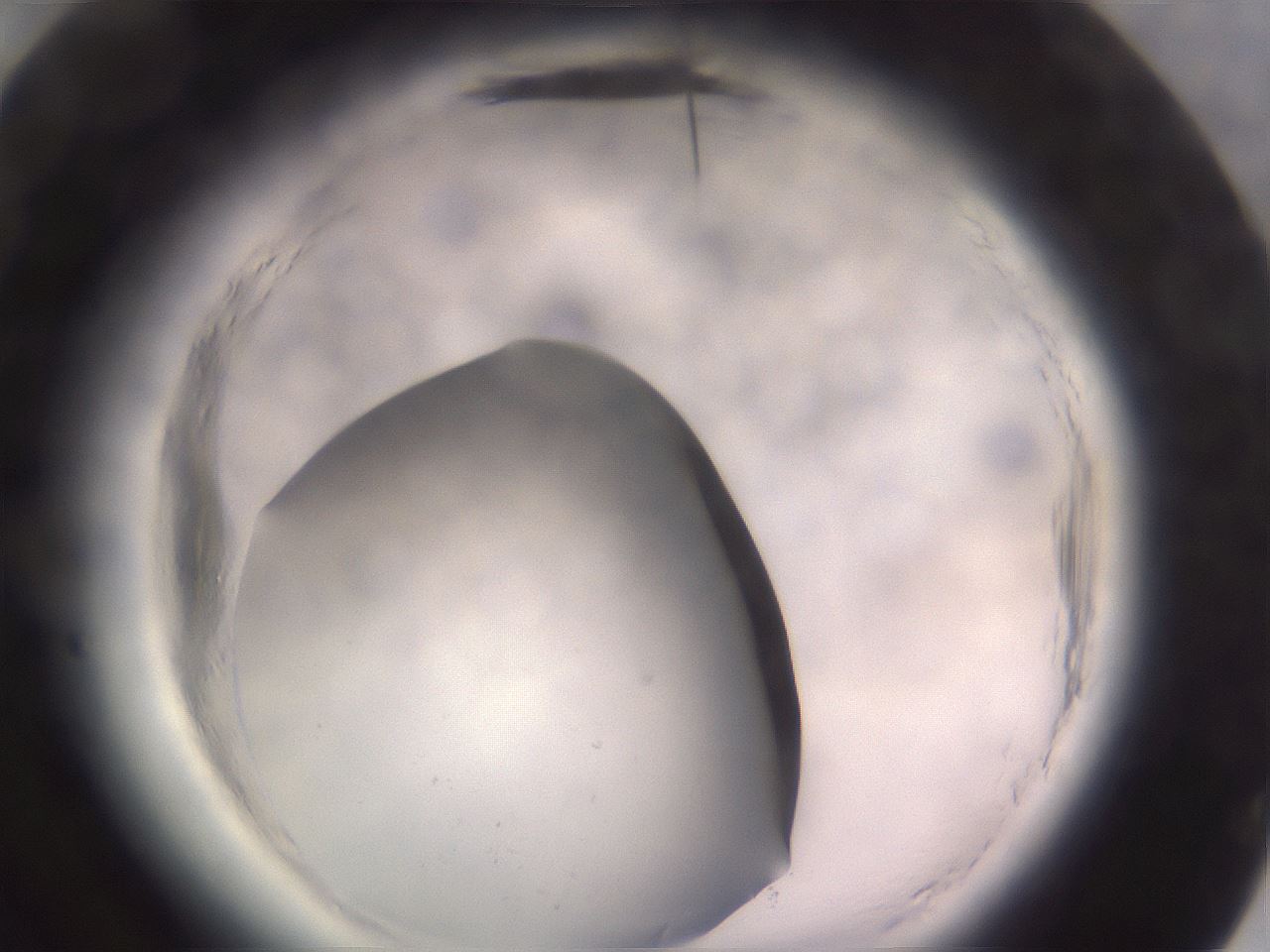 folderID640_plateID2640_batchID13518_wellNum84_profileID1_d3_r214730_ef.jpg