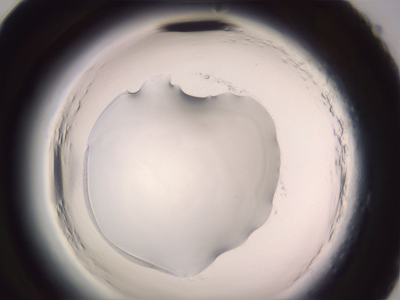 folderID640_plateID2640_batchID13518_wellNum95_profileID1_d2_r214762_ef.jpg