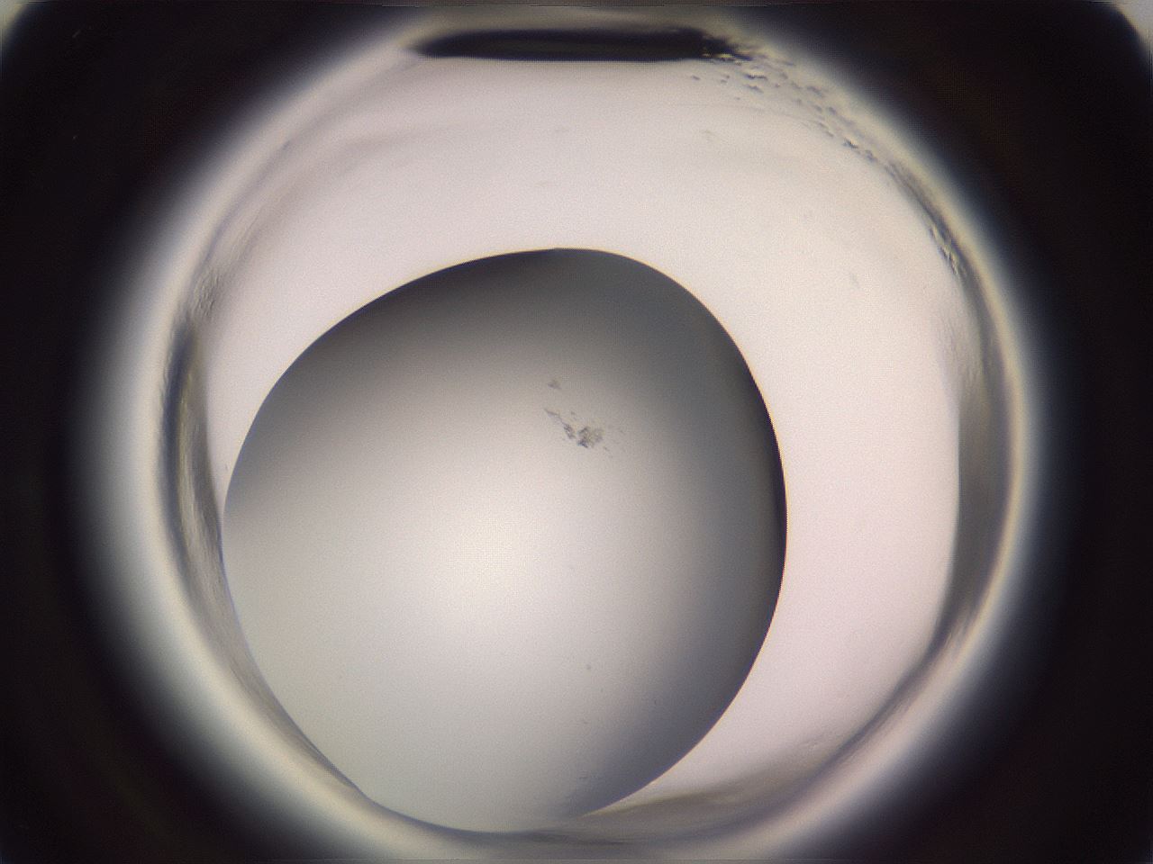 folderID647_plateID2647_batchID13388_wellNum46_profileID1_d3_r213752_ef.jpg