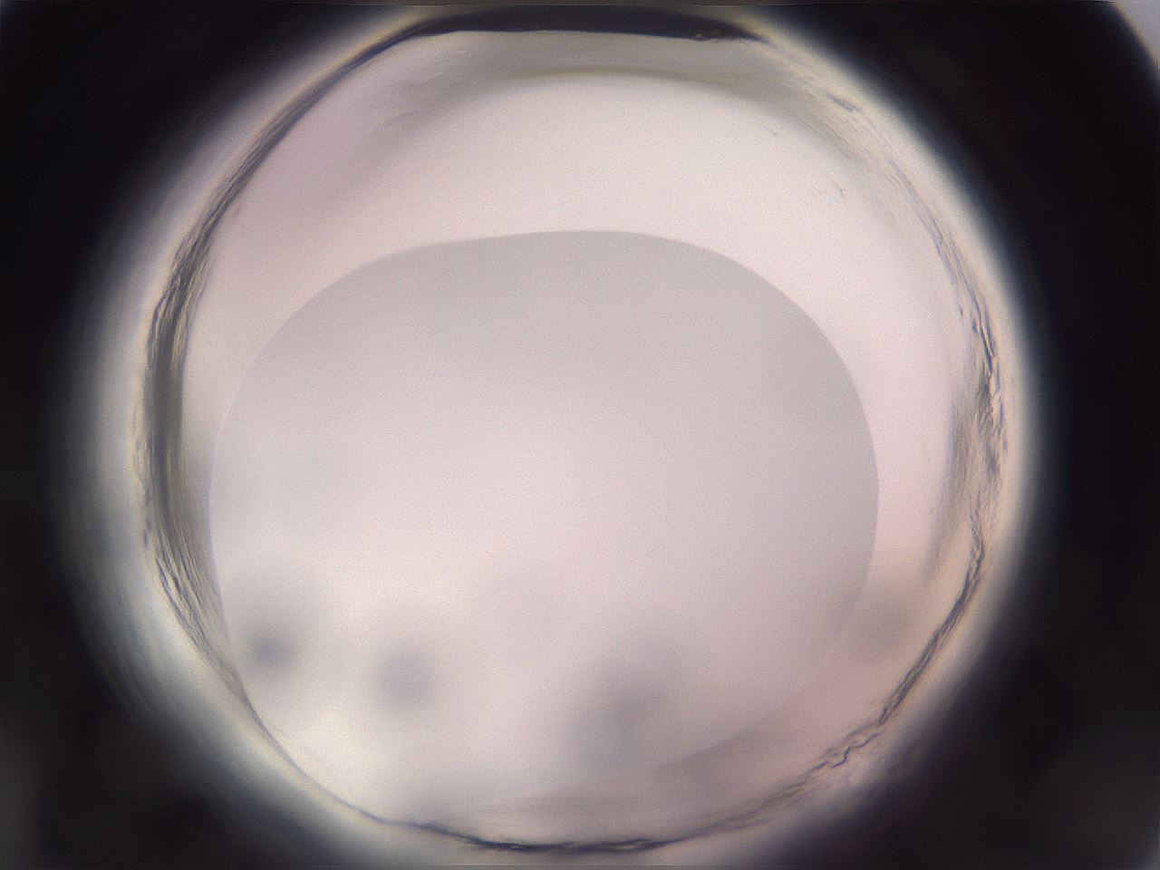 folderID647_plateID2647_batchID13509_wellNum14_profileID1_d1_r213654_ef.jpg
