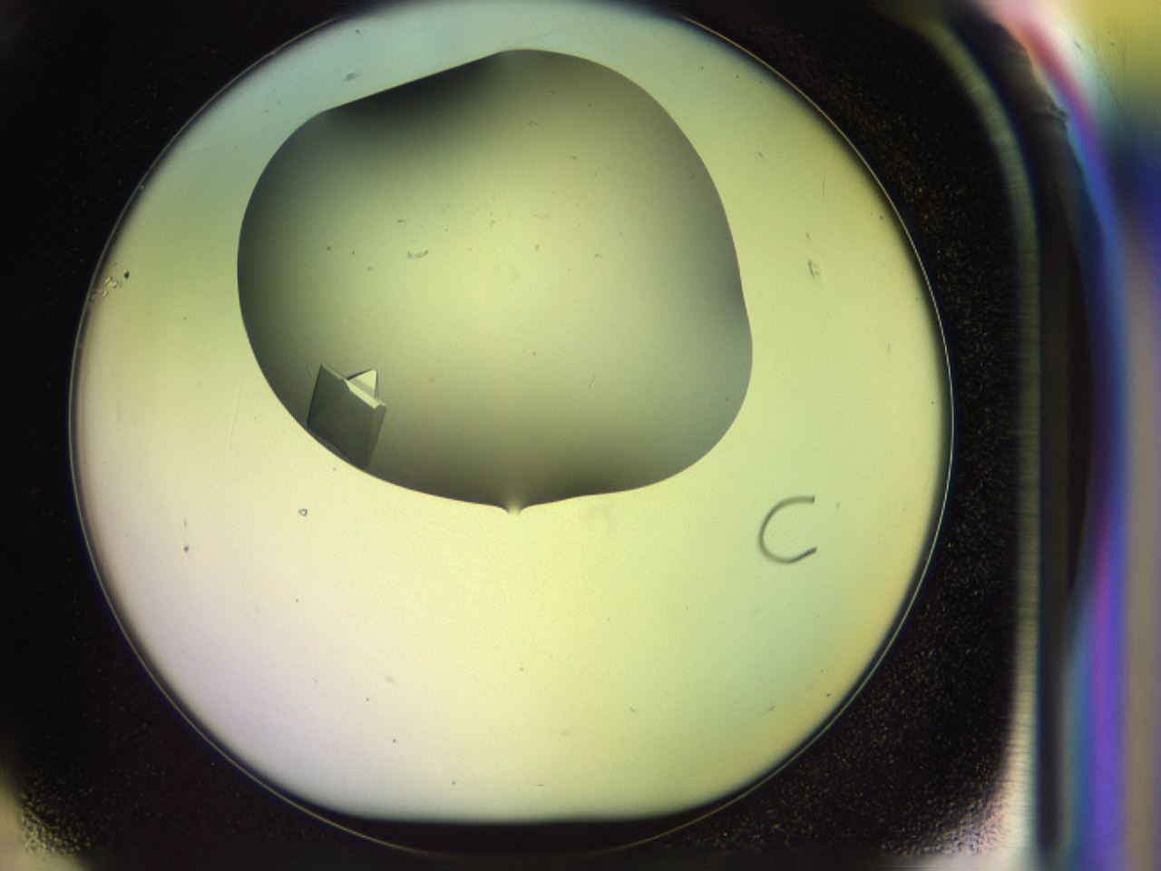 045w_F1_ImagerDefaults_9.jpg