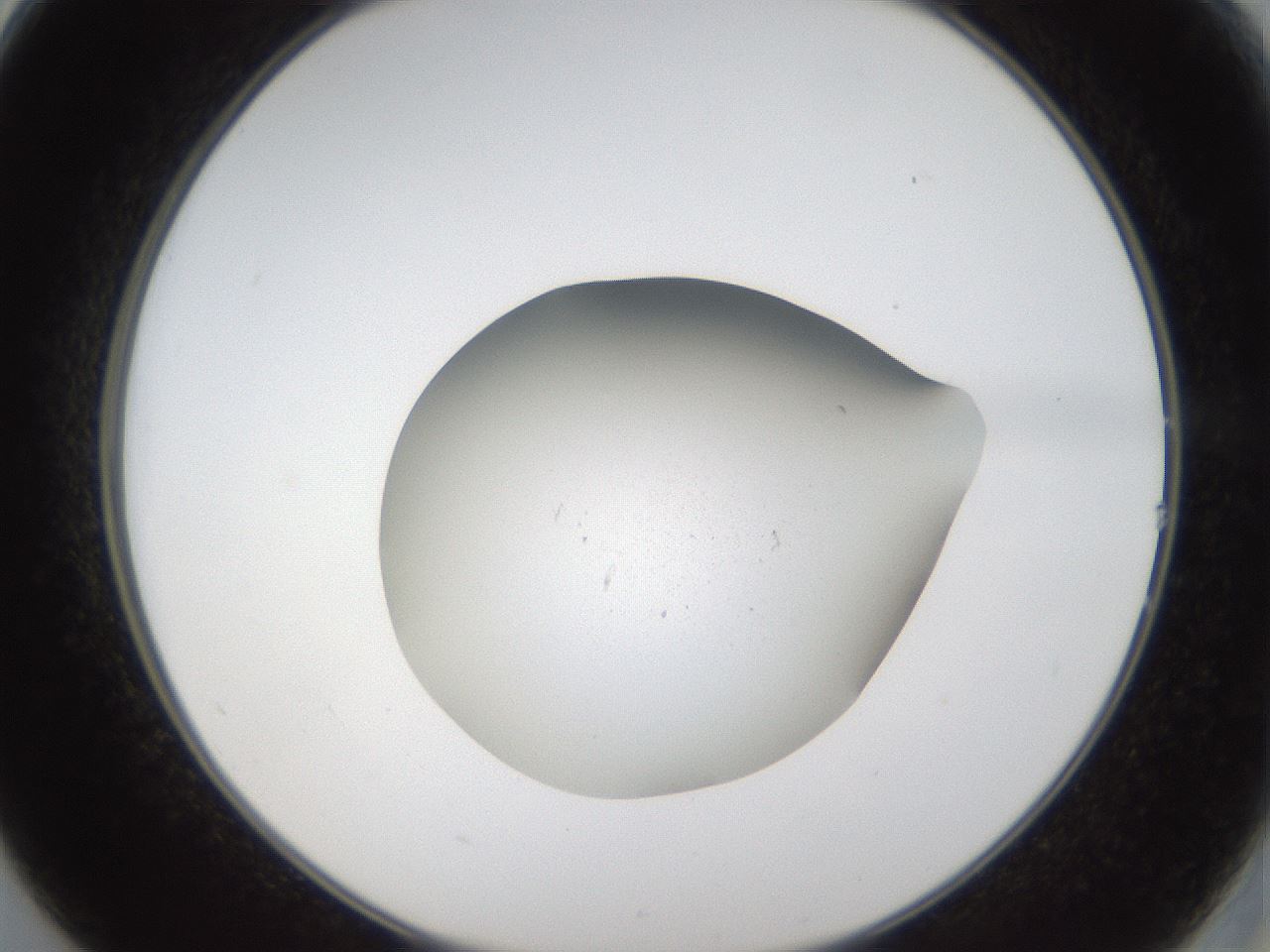 folderID65_plateID1065_batchID2589_wellNum14_profileID1_d2_r53776_ef.jpg