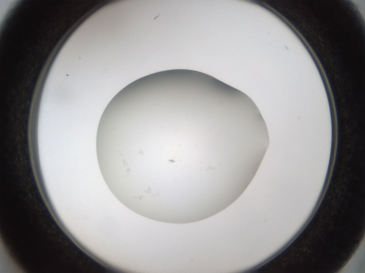 folderID65_plateID1065_batchID2589_wellNum37_profileID1_d2_r53822_ef.jpg