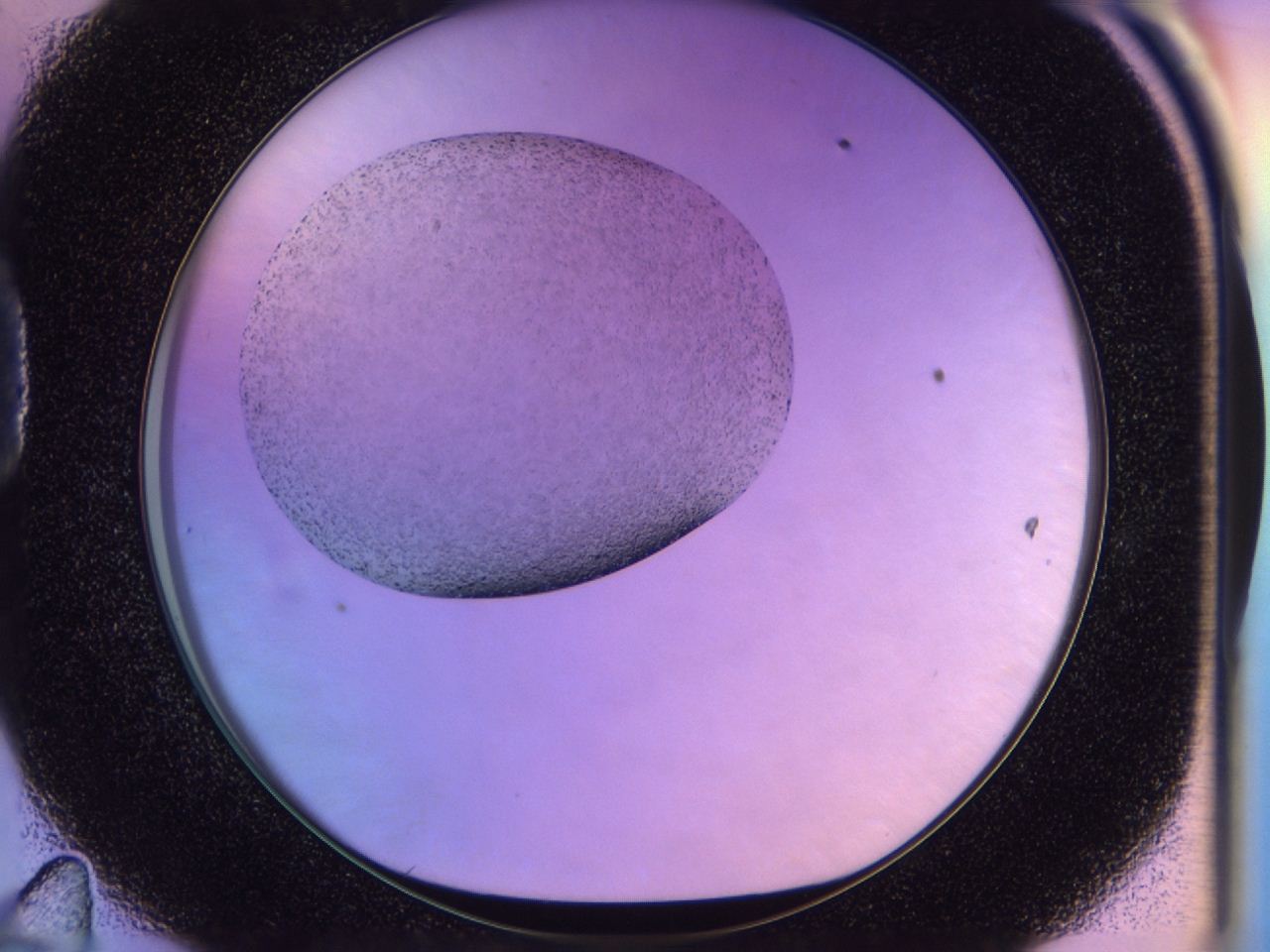 045x_D11_ImagerDefaults_6.jpg