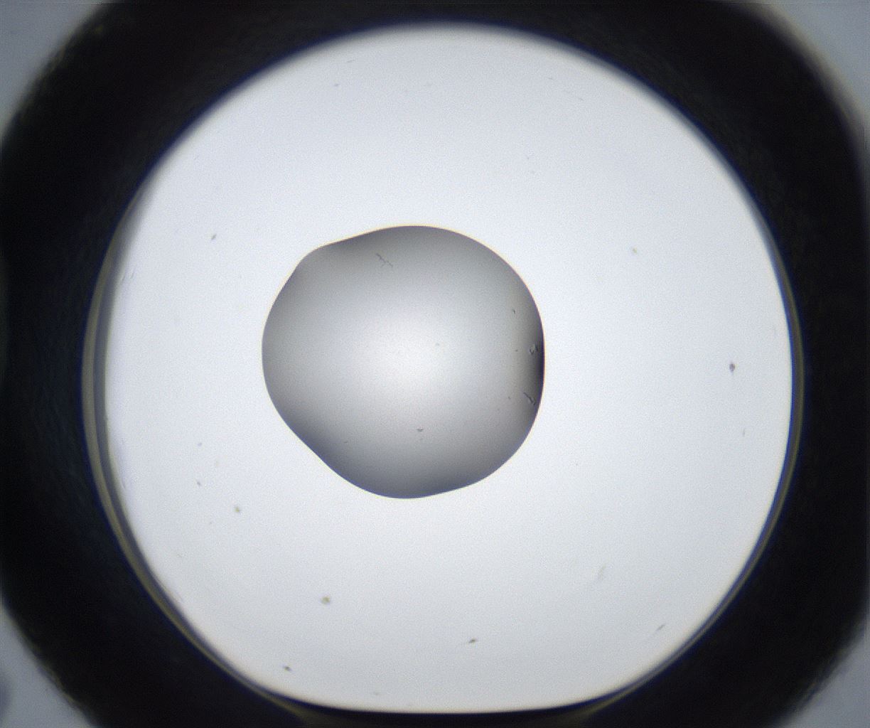 folderID667_plateID2667_batchID13519_wellNum43_profileID1_d1_r215889_ef.jpg