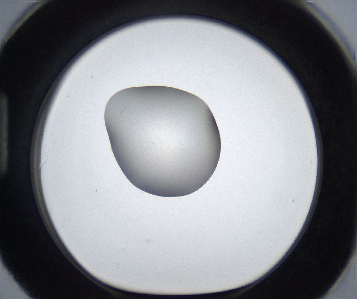 folderID669_plateID2669_batchID13522_wellNum90_profileID1_d1_r216032_ef.jpg