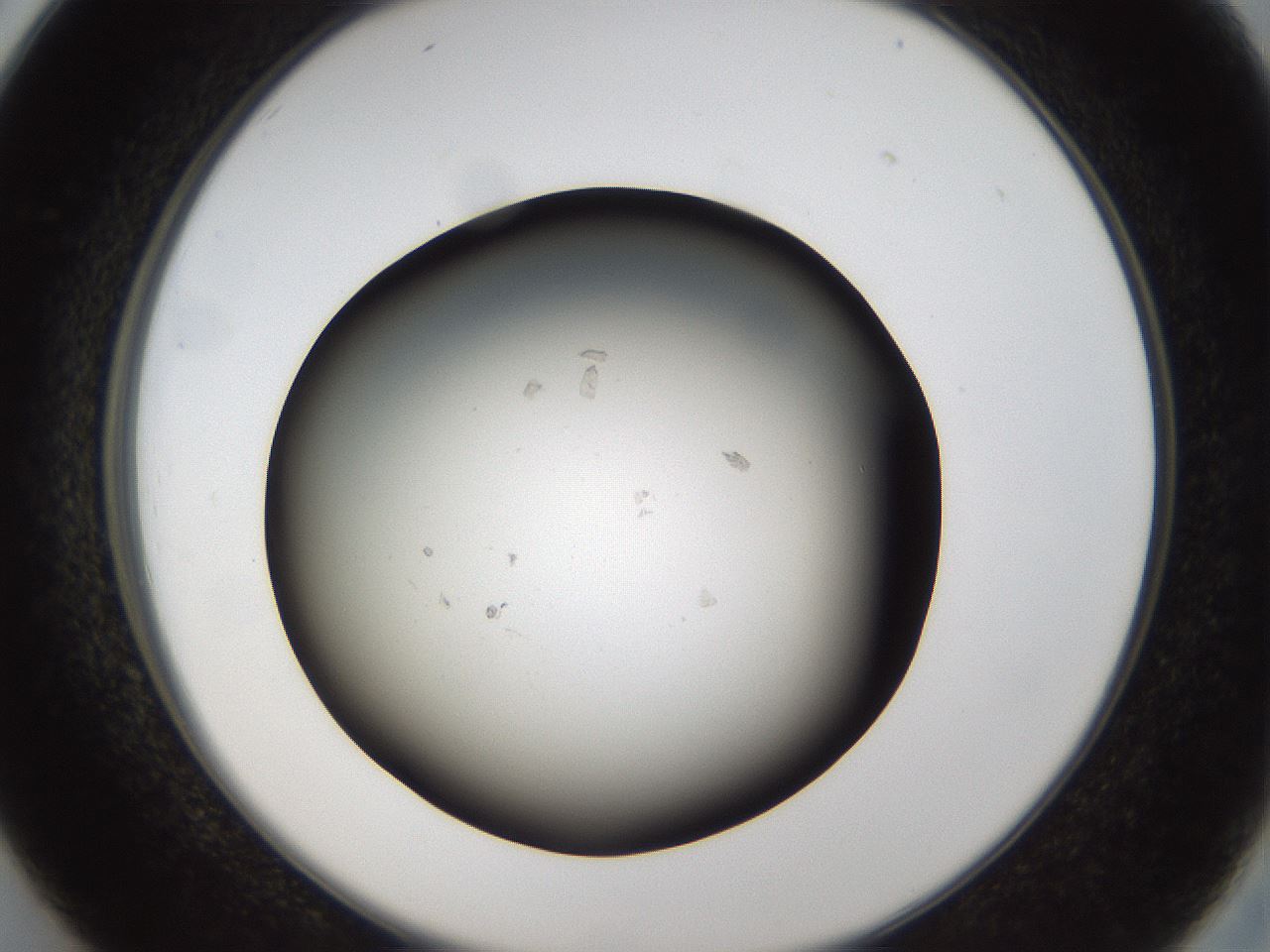 folderID66_plateID1066_batchID2588_wellNum26_profileID1_d2_r53608_ef.jpg