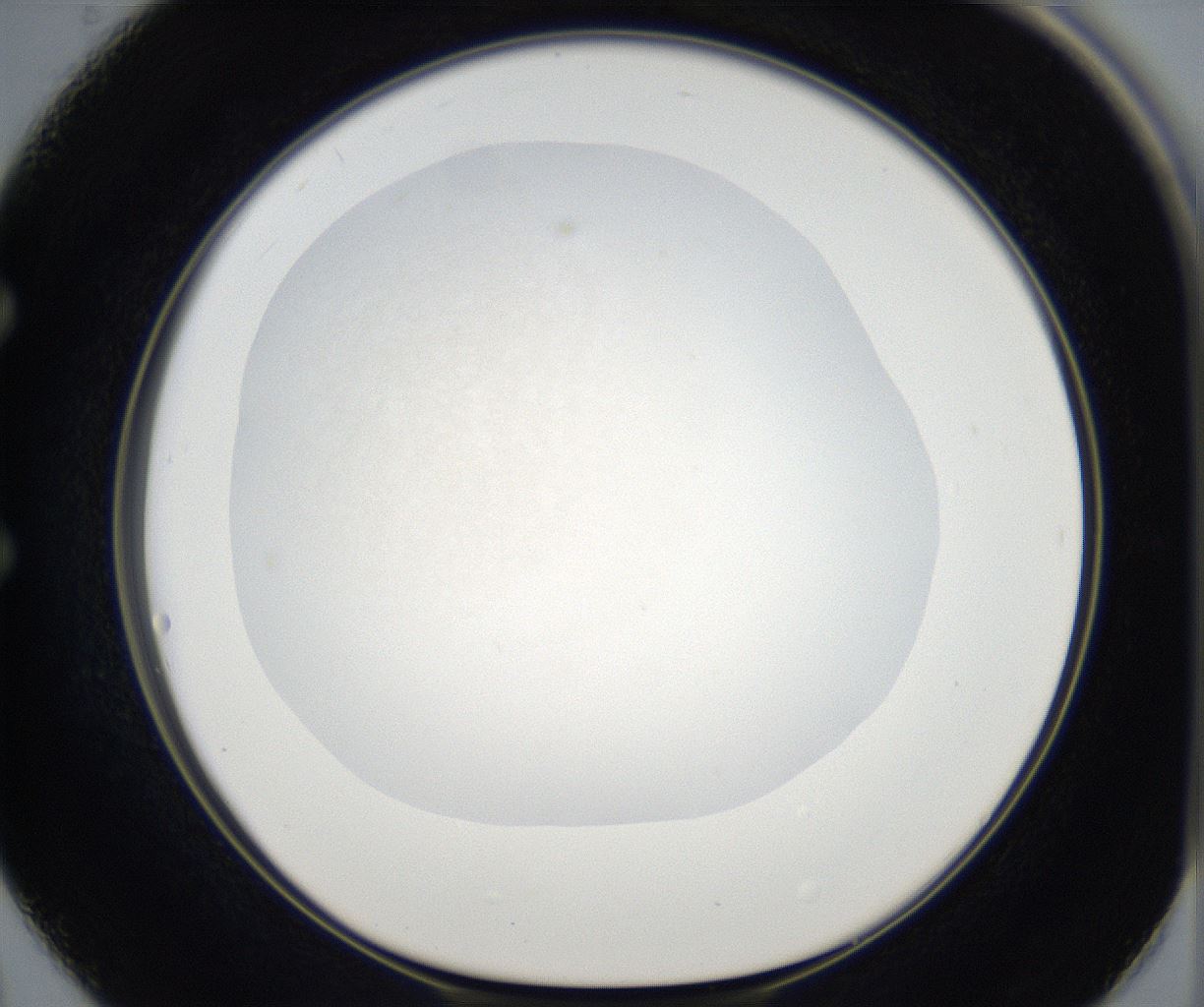 folderID66_plateID2066_batchID9496_wellNum50_profileID1_d1_r141792_ef.jpg
