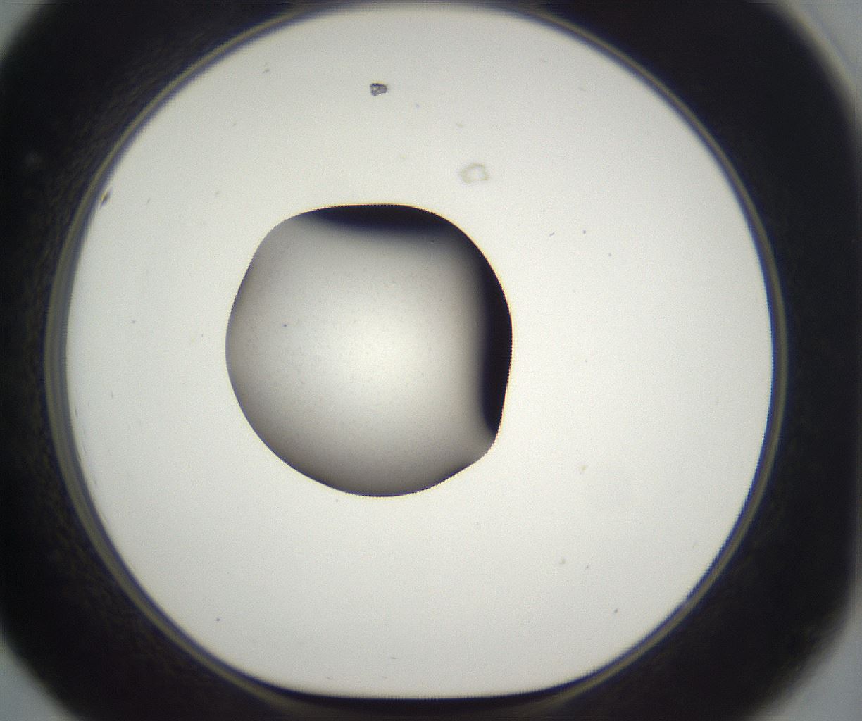 folderID670_plateID2670_batchID13527_wellNum44_profileID1_d1_r216658_ef.jpg