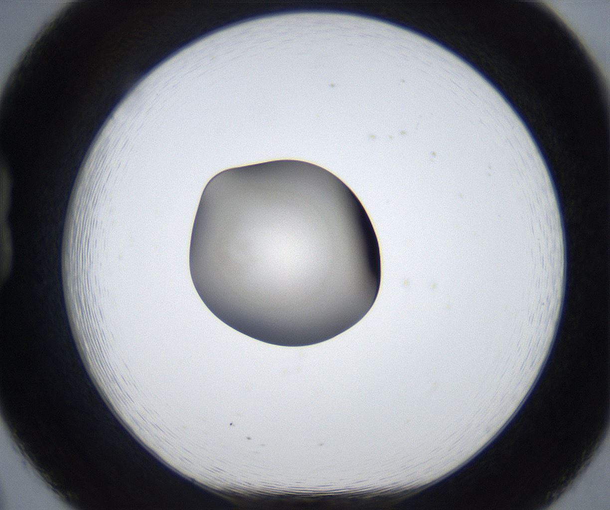 folderID671_plateID2671_batchID13524_wellNum20_profileID1_d1_r216058_ef.jpg