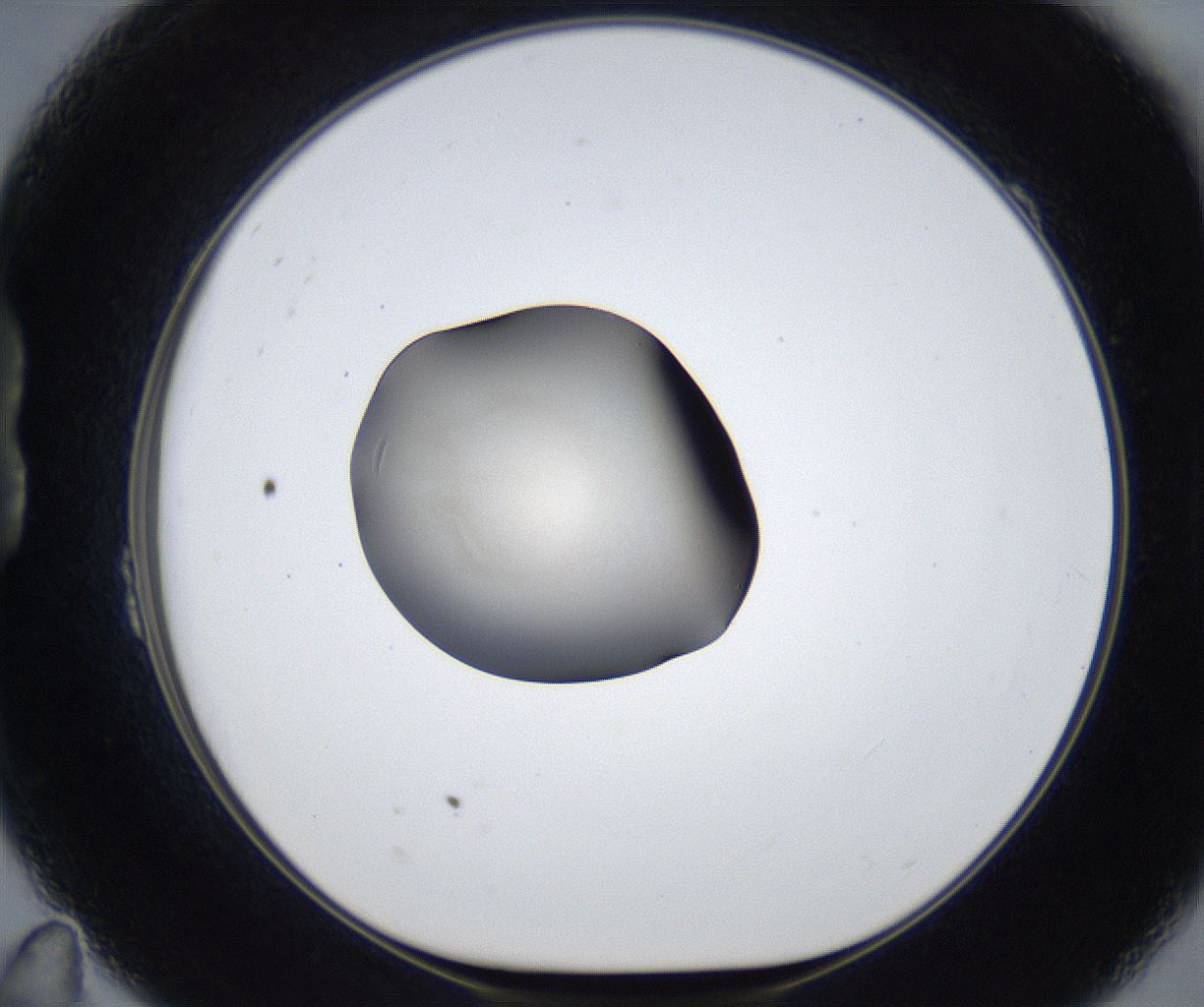 folderID671_plateID2671_batchID13524_wellNum23_profileID1_d1_r216061_ef.jpg