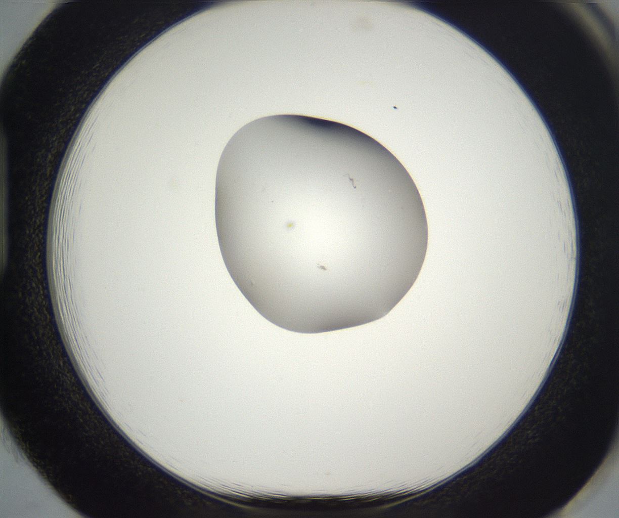 folderID676_plateID2676_batchID13534_wellNum85_profileID1_d1_r216411_ef.jpg