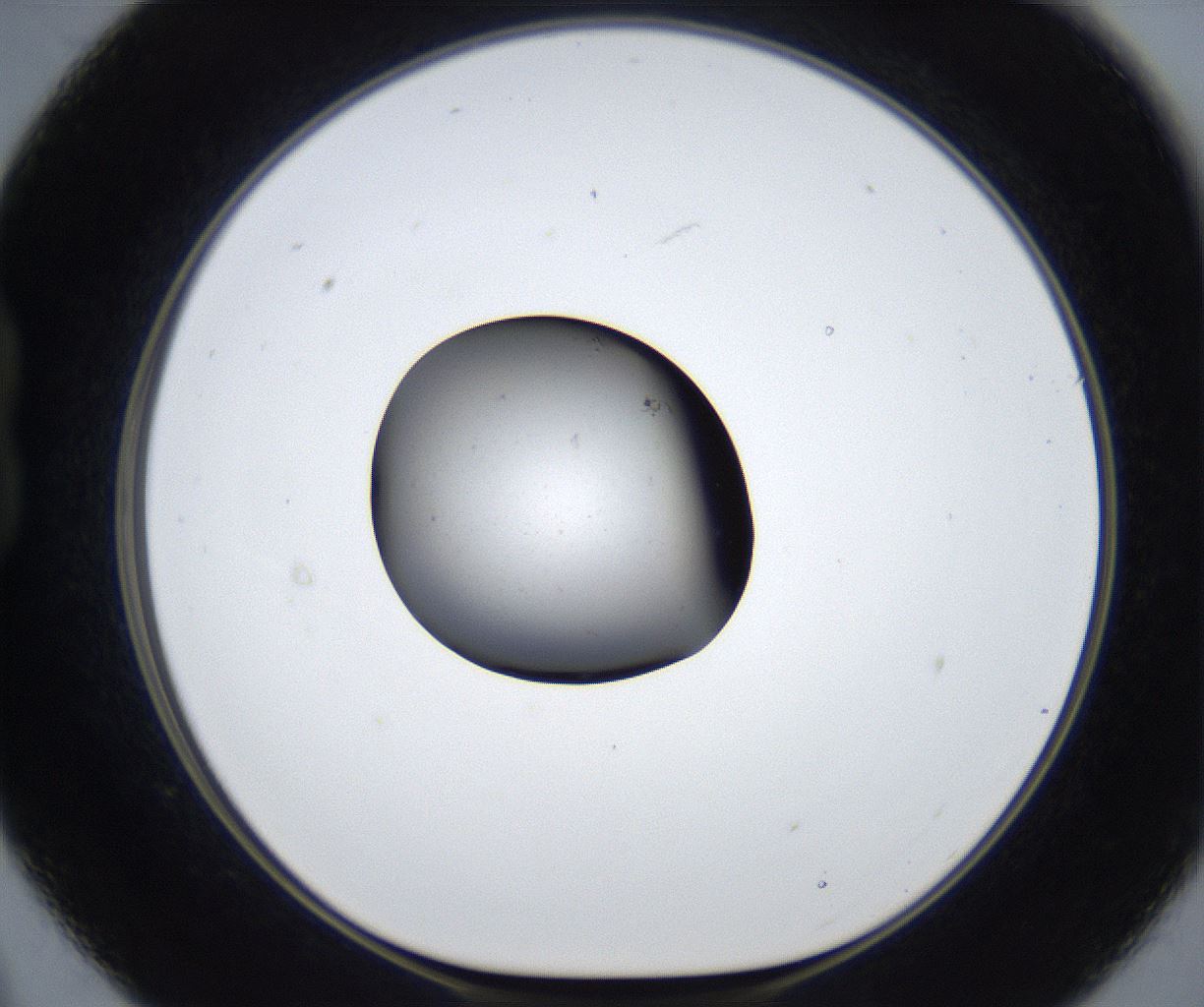 folderID677_plateID2677_batchID13535_wellNum21_profileID1_d1_r216923_ef.jpg