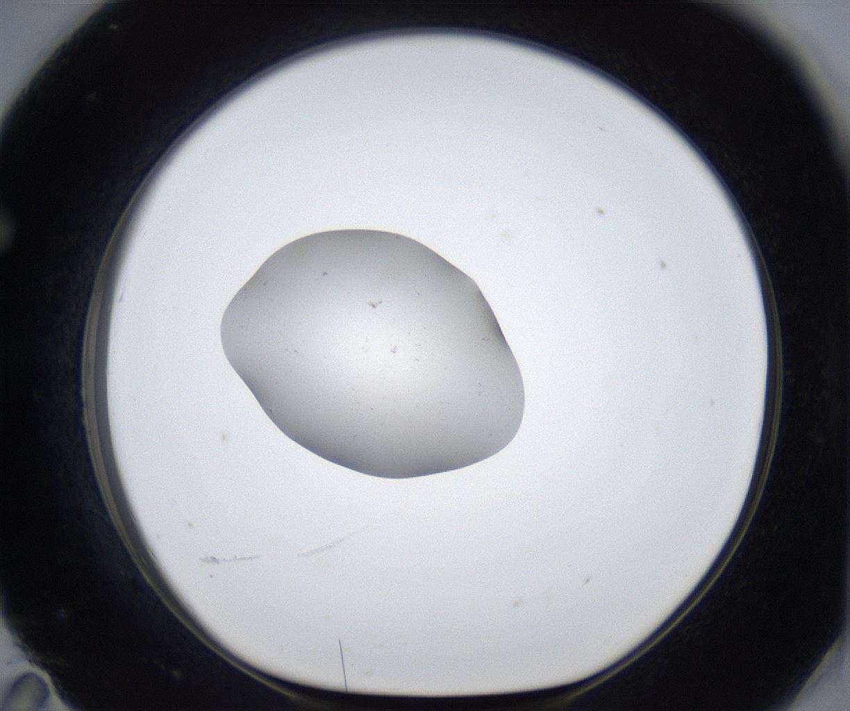 folderID677_plateID2677_batchID13535_wellNum71_profileID1_d1_r216973_ef.jpg