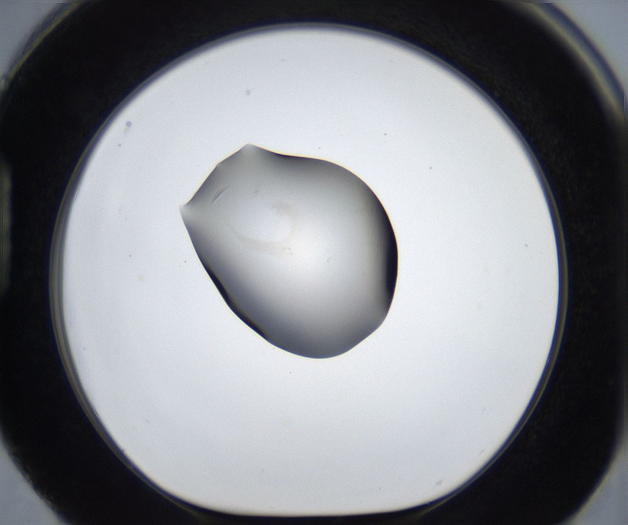 folderID677_plateID2677_batchID13535_wellNum88_profileID1_d1_r216990_ef.jpg