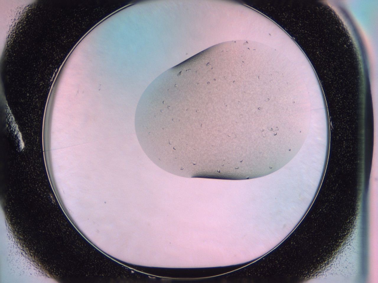 045y_A1_ImagerDefaults_6.jpg