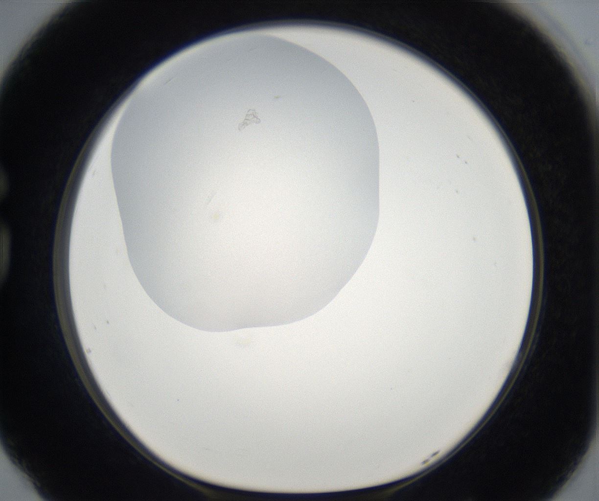 folderID67_plateID2067_batchID9495_wellNum77_profileID1_d1_r141702_ef.jpg