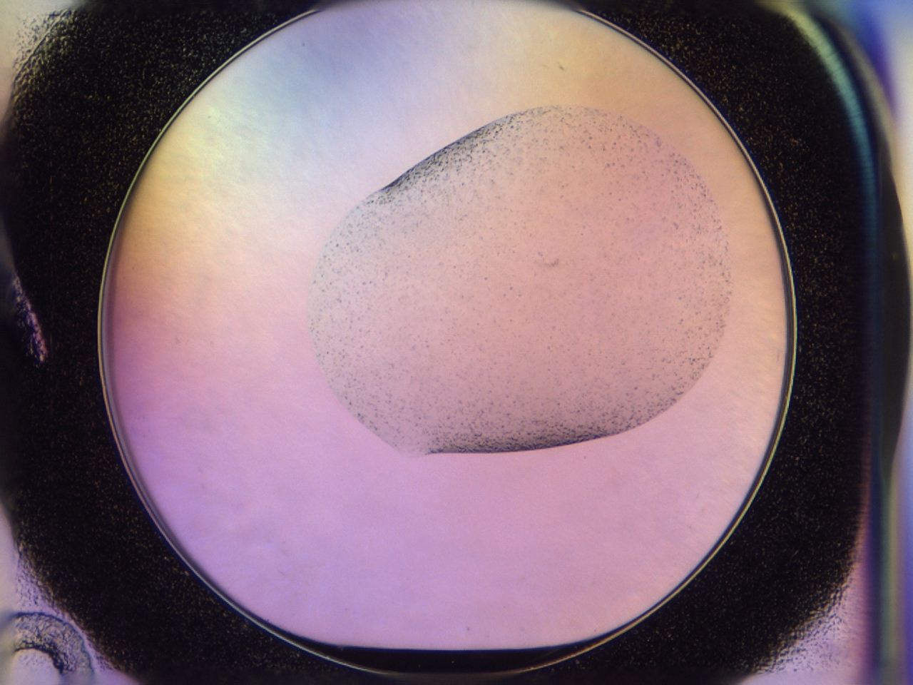 045z_A10_ImagerDefaults_6.jpg