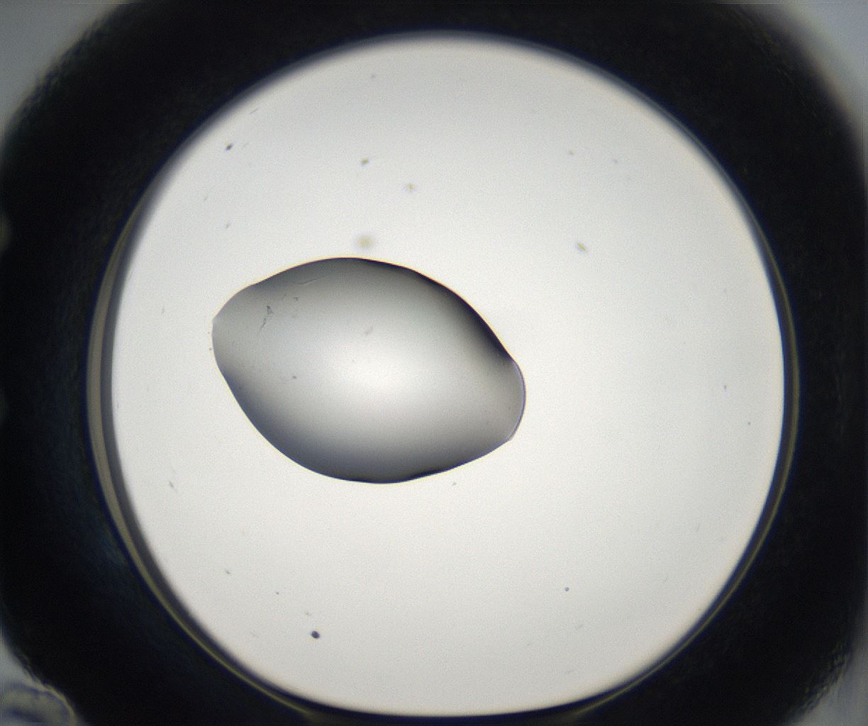folderID68_plateID2068_batchID9498_wellNum58_profileID1_d1_r142048_ef.jpg