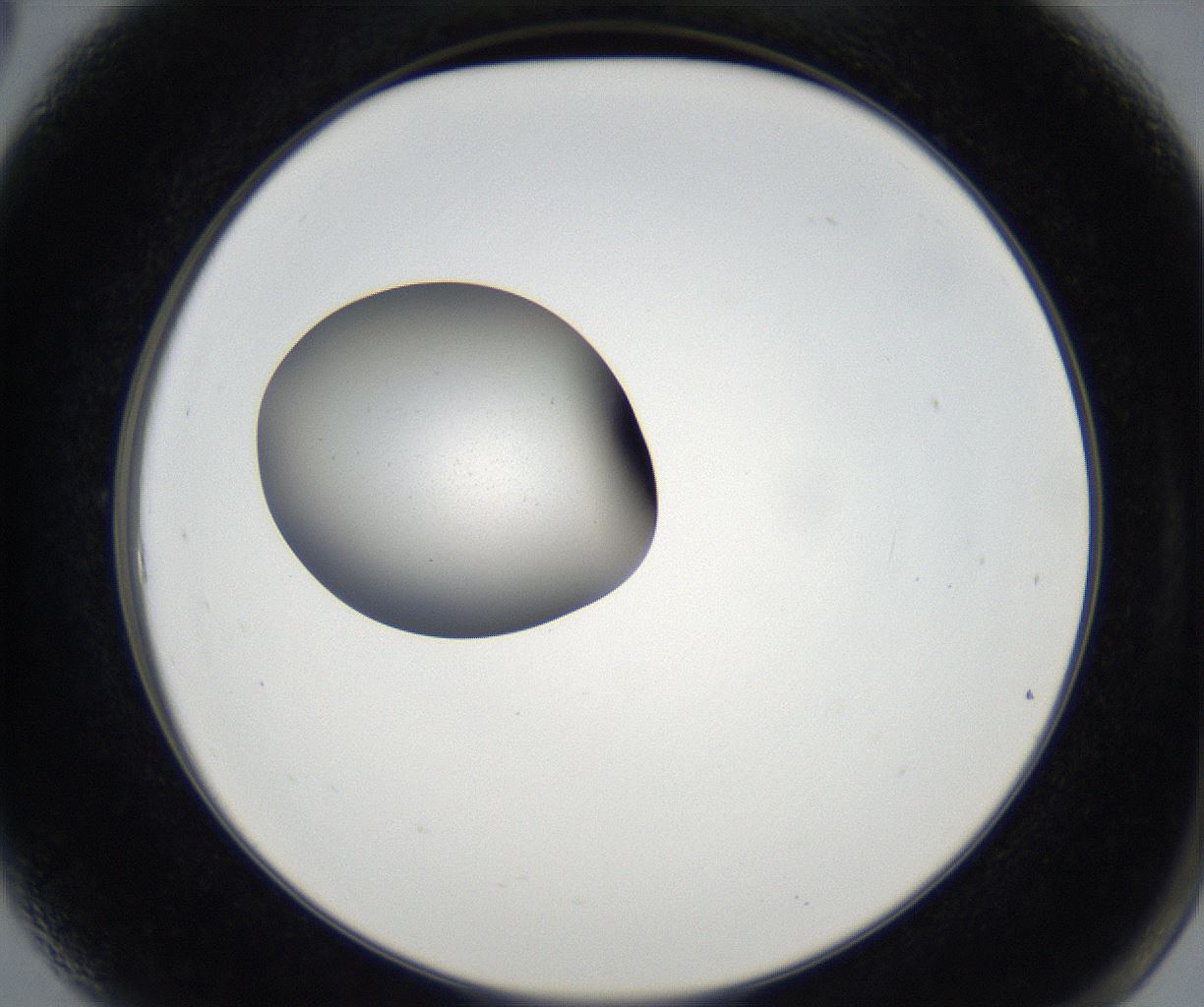 folderID68_plateID2068_batchID9498_wellNum6_profileID1_d2_r141945_ef.jpg