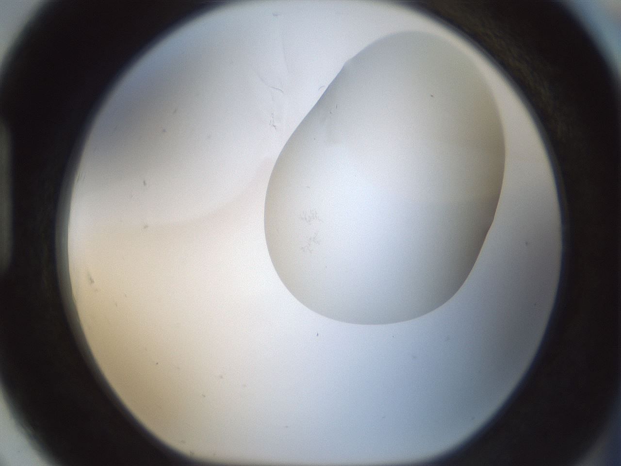 folderID692_plateID2692_batchID13915_wellNum91_profileID1_d1_r219675_ef.jpg
