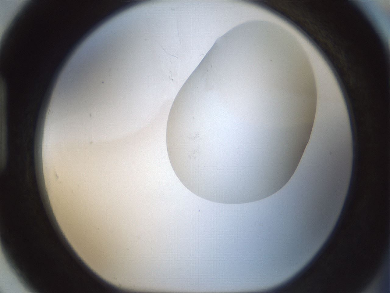 folderID692_plateID2692_batchID14001_wellNum91_profileID1_d1_r219675_ef.jpg
