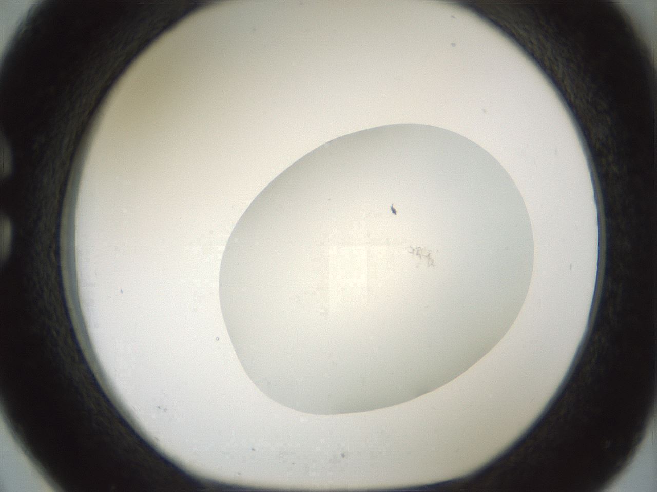 folderID695_plateID2695_batchID14117_wellNum26_profileID1_d1_r220676_ef.jpg